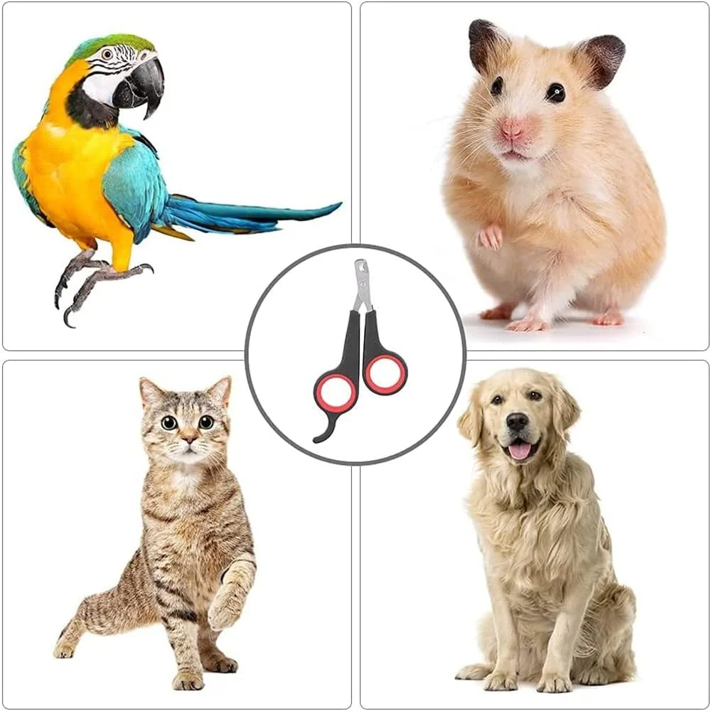 ناخن گیر پرنده مامو بیر، ابزار پیرایش، قیچی ناخن، لوازم جانبی حیوانات خانگی پرنده طوطی برای پرندگان طوطی کوچک ناخن گیر پرنده مامو بیر، ابزار پیرایش، قیچی ناخن، لوازم جانبی حیوانات خانگی پرنده طوطی برای پرندگان طوطی کوچک