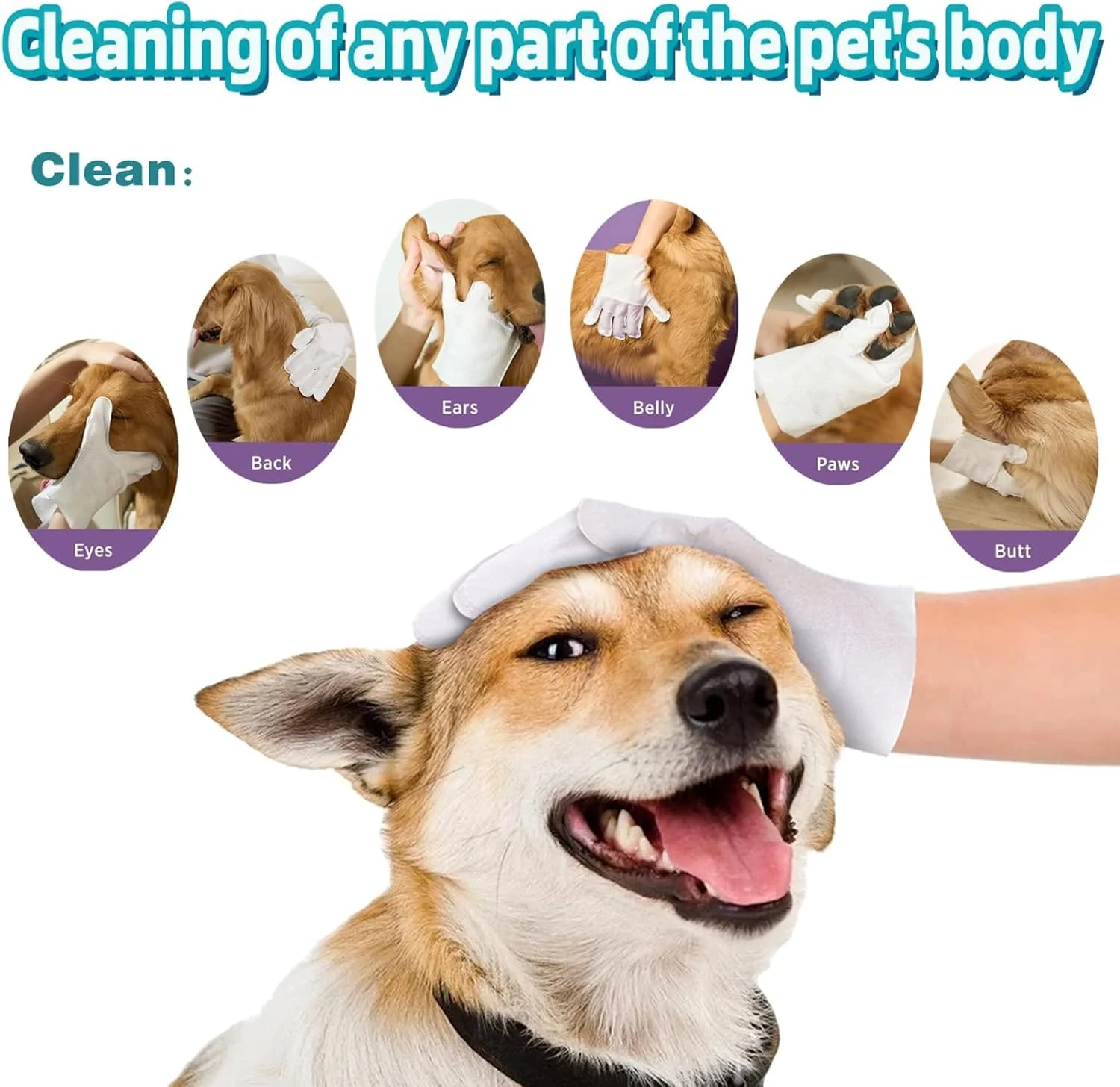 دستمال مرطوب نظافت سگ مامو بیر - دستمال مرطوب گیاهی تمیز کننده و خوشبو کننده سگ برای پنجه ها، بدن و باسن، عالی برای توله سگ ها و سگ های بالغ - بدون عطر، توصیه شده توسط دامپزشکان (10 عدد) دستمال مرطوب نظافت سگ مامو بیر - دستمال مرطوب گیاهی تمیز کننده و خوشبو کننده سگ برای پنجه ها، بدن و باسن، عالی برای توله سگ ها و سگ های بالغ - بدون عطر، توصیه شده توسط دامپزشکان (10 عدد)