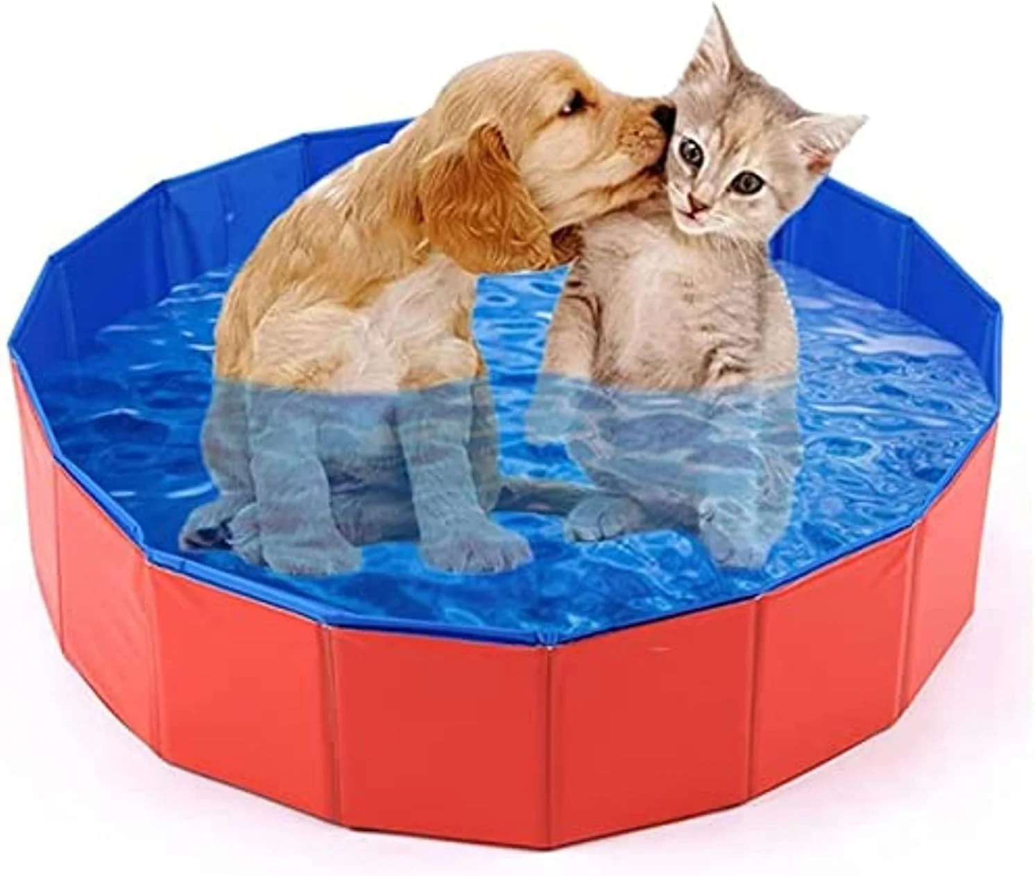 استخر تاشو سگ و حیوانات خانگی مامو بیر، استخر کودکان، وان حمام پلاستیکی سخت تاشو، استخرهای پی وی سی فضای باز برای سگ گربه بچه قرمز با آبی، B07Nz1Ldks