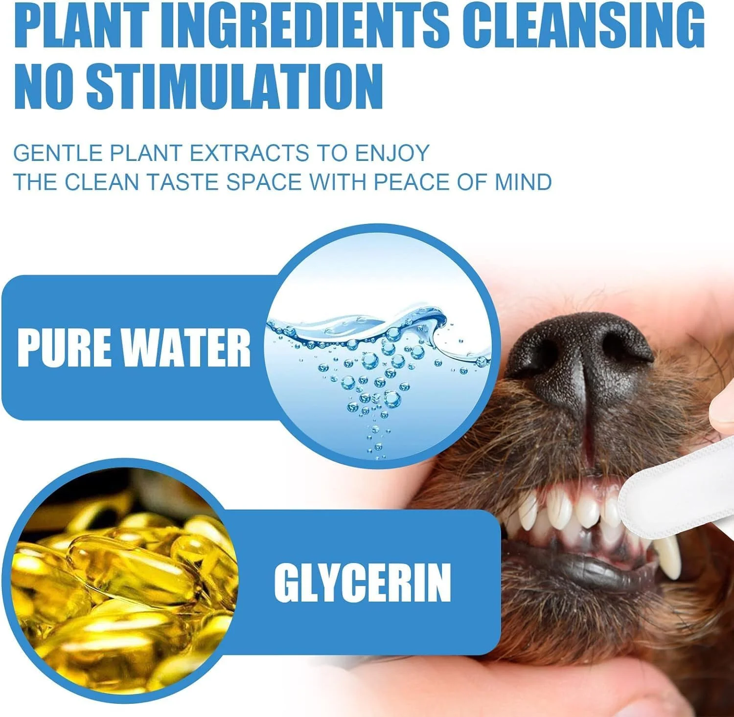 دستمال مرطوب انگشتی دندان حیوانات خانگی مامو بیر، پد تمیز کننده دهان و مراقبت از دندان برای سگ ها و گربه ها، بهینه سازی سلامت دهان، کاهش پلاک، خوشبو کننده تنفس - 50 عدد دستمال مرطوب انگشتی دندان حیوانات خانگی مامو بیر، پد تمیز کننده دهان و مراقبت از دندان برای سگ ها و گربه ها، بهینه سازی سلامت دهان، کاهش پلاک، خوشبو کننده تنفس - 50 عدد