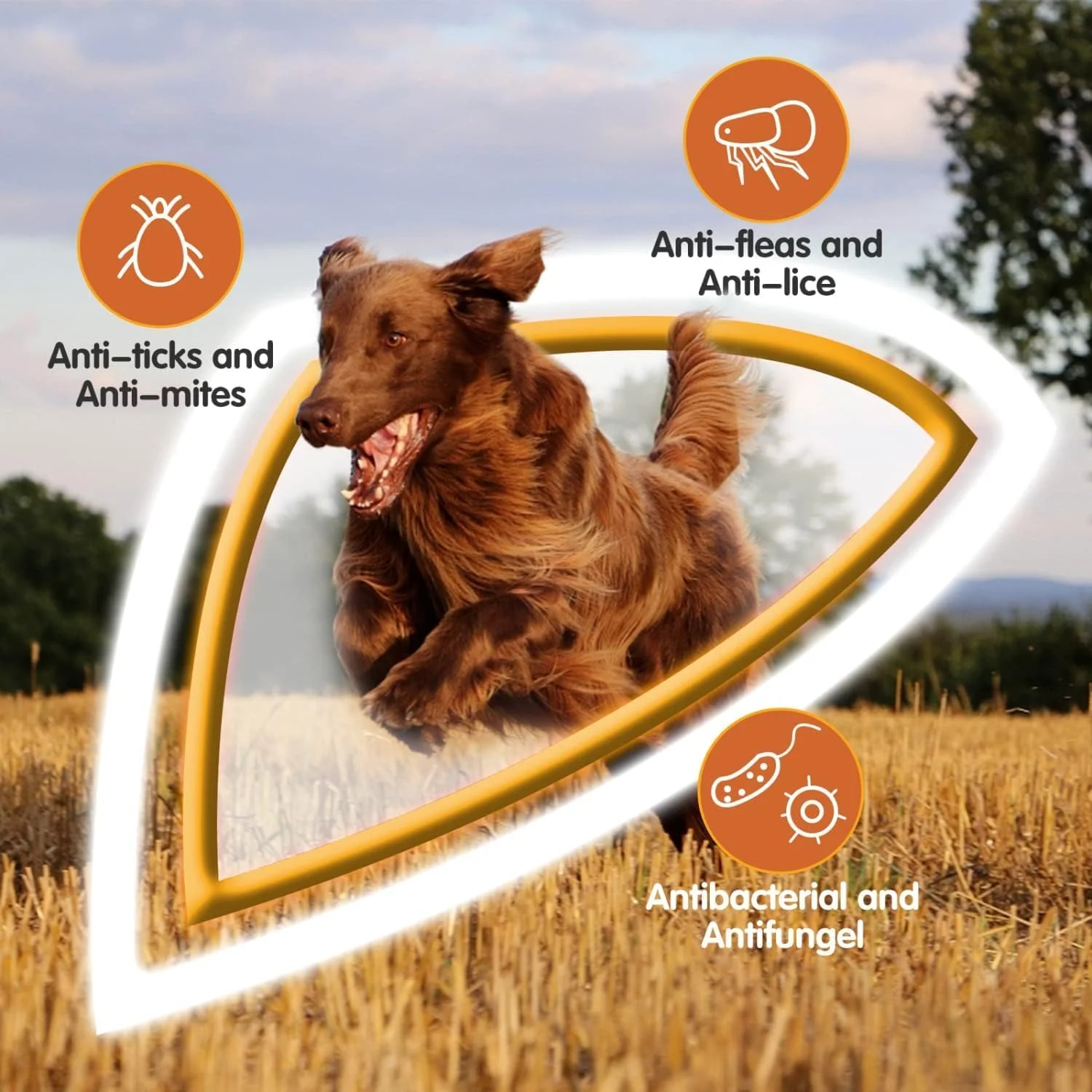 شامپو سگ مامو بیر، ضد خارش، ضد کنه، ضد قارچ، مراقبت از پوست حساس، فرمول ضد باکتری، تسکین دهنده تحریکات پوستی 500 میلی لیتر شامپو سگ مامو بیر، ضد خارش، ضد کنه، ضد قارچ، مراقبت از پوست حساس، فرمول ضد باکتری، تسکین دهنده تحریکات پوستی 500 میلی لیتر