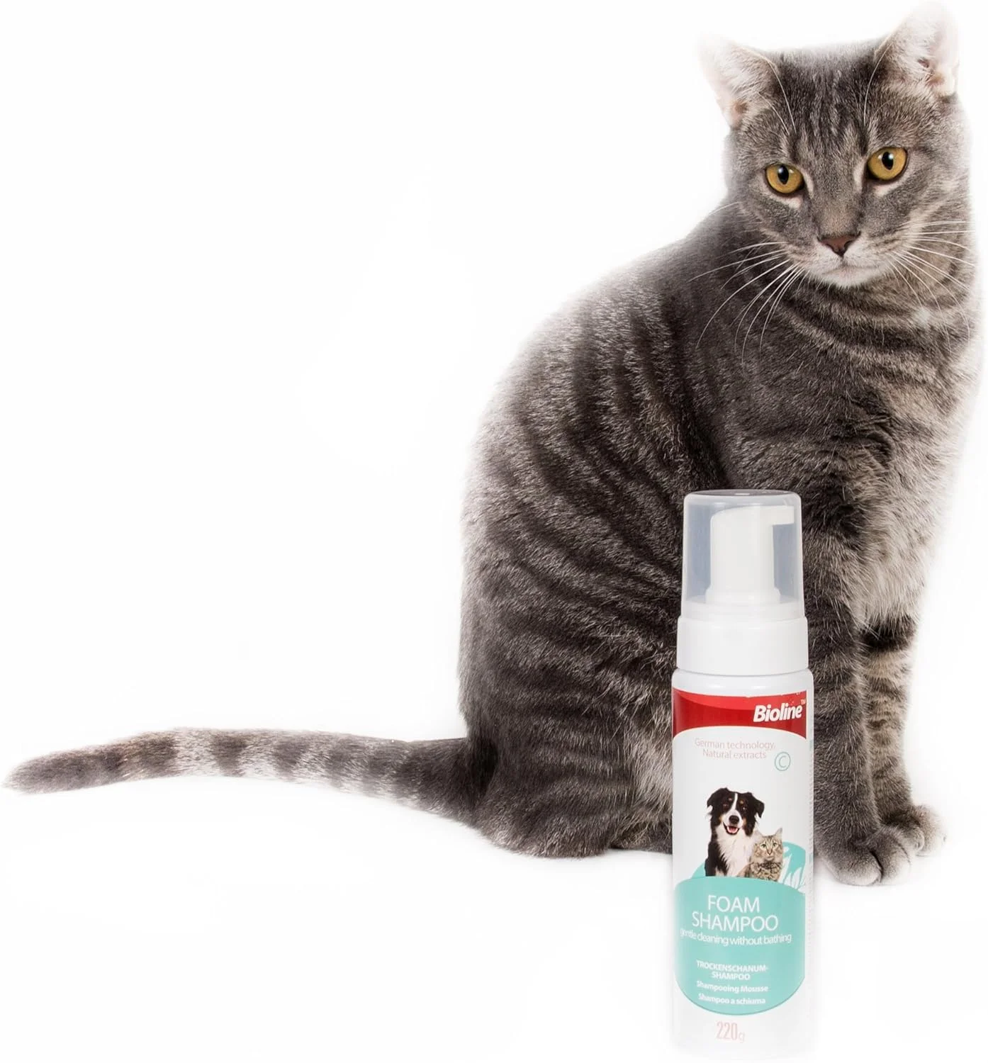 شامپو فوم خشک حیوانات خانگی Bioline وزن 220 گرم شامپو فوم خشک حیوانات خانگی Bioline وزن 220 گرم