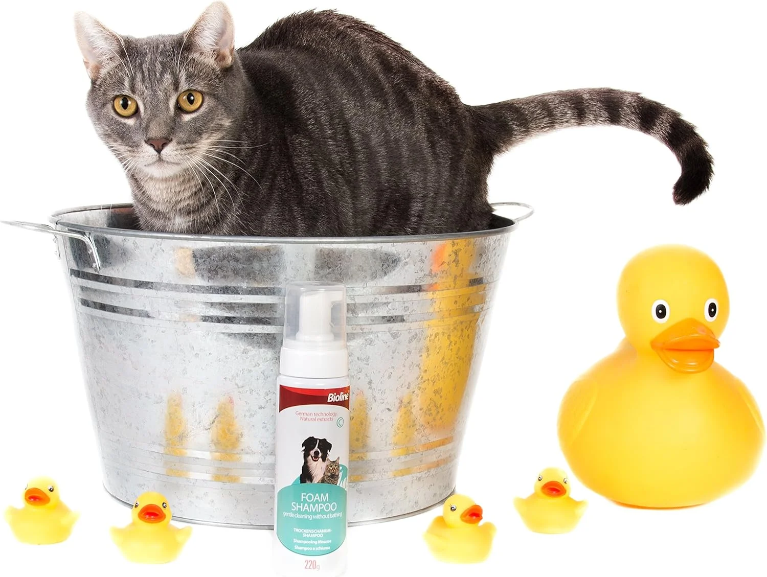 شامپو فوم خشک حیوانات خانگی Bioline وزن 220 گرم شامپو فوم خشک حیوانات خانگی Bioline وزن 220 گرم