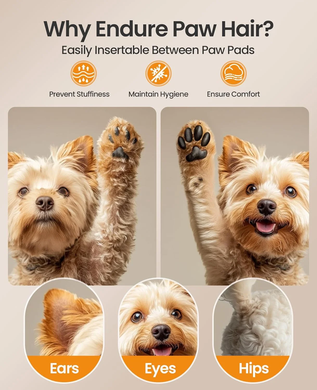 ماشین اصلاح سگ oneisall مدل 2 در 1، بی صدا، شارژی، بی سیم با تیغه استیل ضد زنگ برای سگ ها ماشین اصلاح سگ oneisall مدل 2 در 1، بی صدا، شارژی، بی سیم با تیغه استیل ضد زنگ برای سگ ها