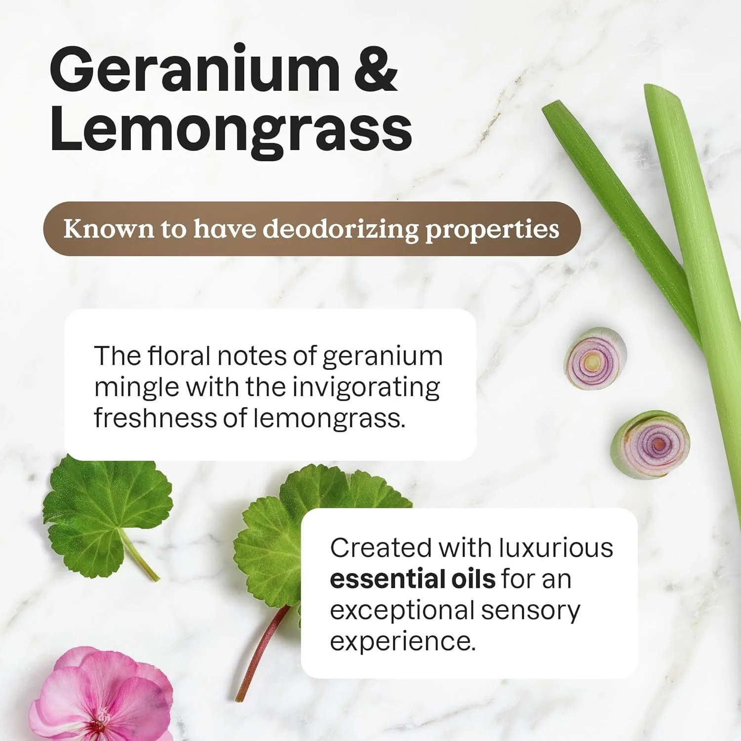 مایع پاک کننده چند منظوره ATTITUDE با روغن های ضروری، تایید شده توسط EWG، مواد تشکیل دهنده گیاهی و معدنی، محصولات خانگی وگان، بطری آلومینیومی قابل پر کردن، شمعدانی و علف لیمو، 16 اونس مایع مایع پاک کننده چند منظوره ATTITUDE با روغن های ضروری، تایید شده توسط EWG، مواد تشکیل دهنده گیاهی و معدنی، محصولات خانگی وگان، بطری آلومینیومی قابل پر کردن، شمعدانی و علف لیمو، 16 اونس مایع