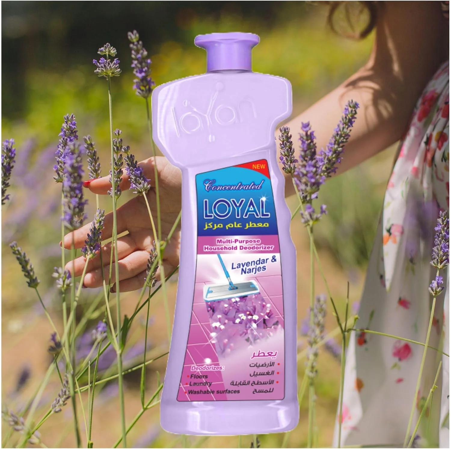 خوشبو کننده چند منظوره و غلیظ خانگی LOYAL، طراوت بخش، از بین برنده بو، پاک کننده سطوح قابل شستشو، کف، لباسشویی، رایحه اسطوخودوس و نرگس، 700 میلی لیتر (1 بسته، 2100 میلی لیتر)