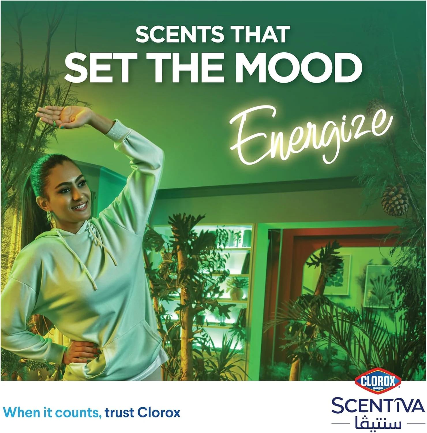 مایع ضدعفونی کننده کف شوی کلروکس سنتيوا با رایحه جنگل کاج مدیترانه ای 4.5 لیتری، از بین برنده 99.9% ویروس ها و باکتری ها، بدون سفید کننده (بسته 2 عددی)