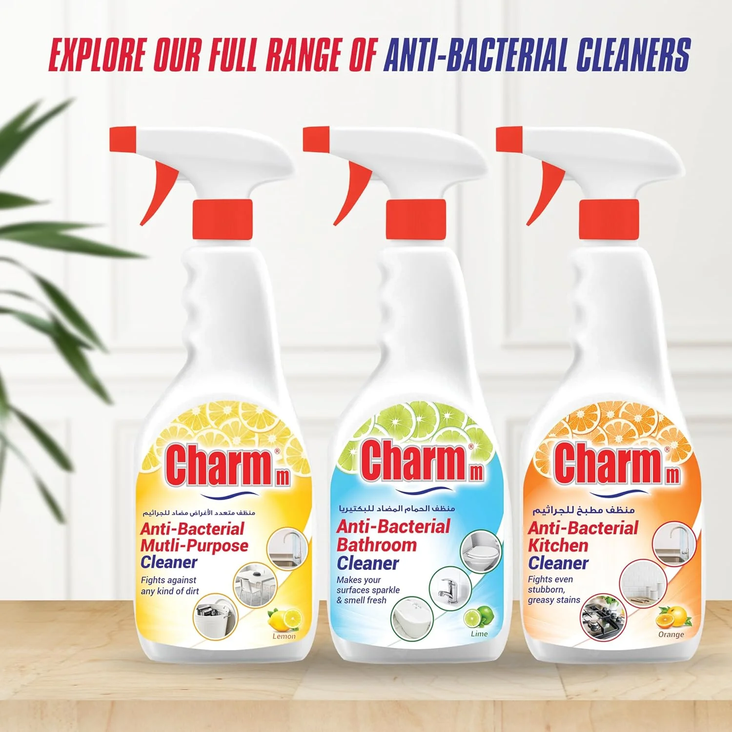 مایع تمیز کننده آشپزخانه آنتی باکتریال Charmm حجم 650 میلی لیتر مایع تمیز کننده آشپزخانه آنتی باکتریال Charmm حجم 650 میلی لیتر