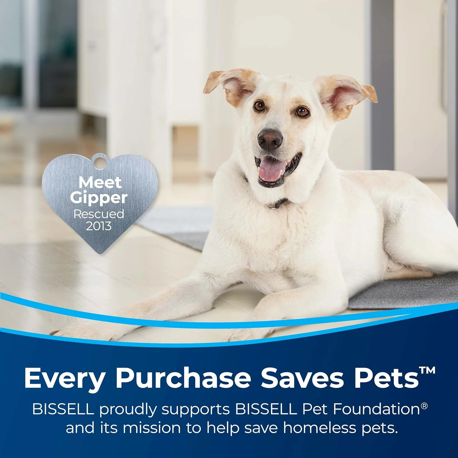 مایع تمیز کننده عمیق و ضد باکتریال بیسل، 1182 میلی لیتر (1568)، شماره مدل: 1568A مایع تمیز کننده عمیق و ضد باکتریال بیسل، 1182 میلی لیتر (1568)، شماره مدل: 1568A