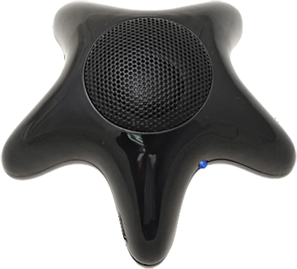 اسپیکر ستاره دریایی کوچک مشکی Ruilogod برای کامپیوتر، نوت بوک، لپ تاپ و دسکتاپ