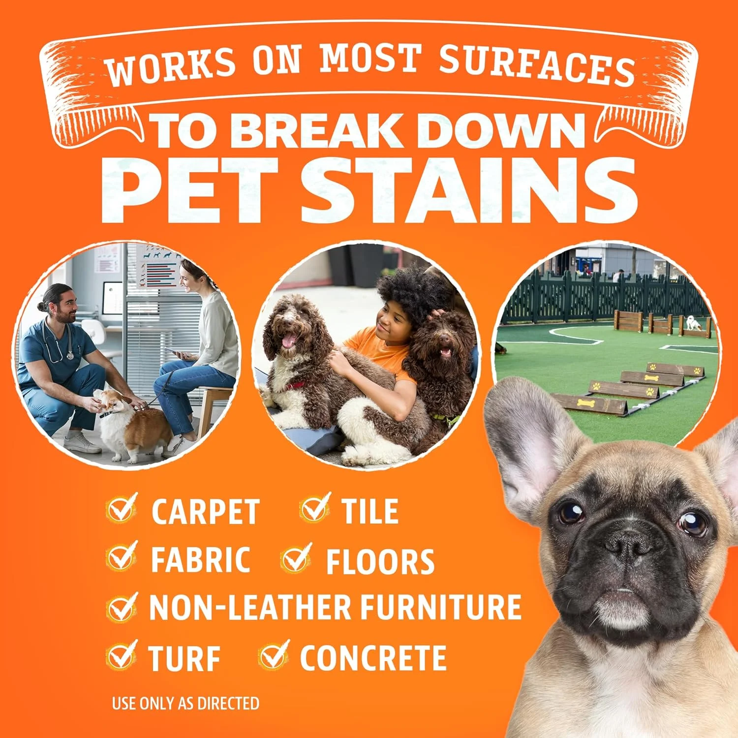 محلول پاک کننده لکه ANGRY ORANGE - سایز گالن، پاک کننده آنزیمی حیوانات خانگی - از بین برنده لکه و بوی ادرار سگ و گربه - محلول تمیز کننده اسپری مرکبات - لوازم توله سگ - 128 اونس محلول پاک کننده لکه ANGRY ORANGE - سایز گالن، پاک کننده آنزیمی حیوانات خانگی - از بین برنده لکه و بوی ادرار سگ و گربه - محلول تمیز کننده اسپری مرکبات - لوازم توله سگ - 128 اونس