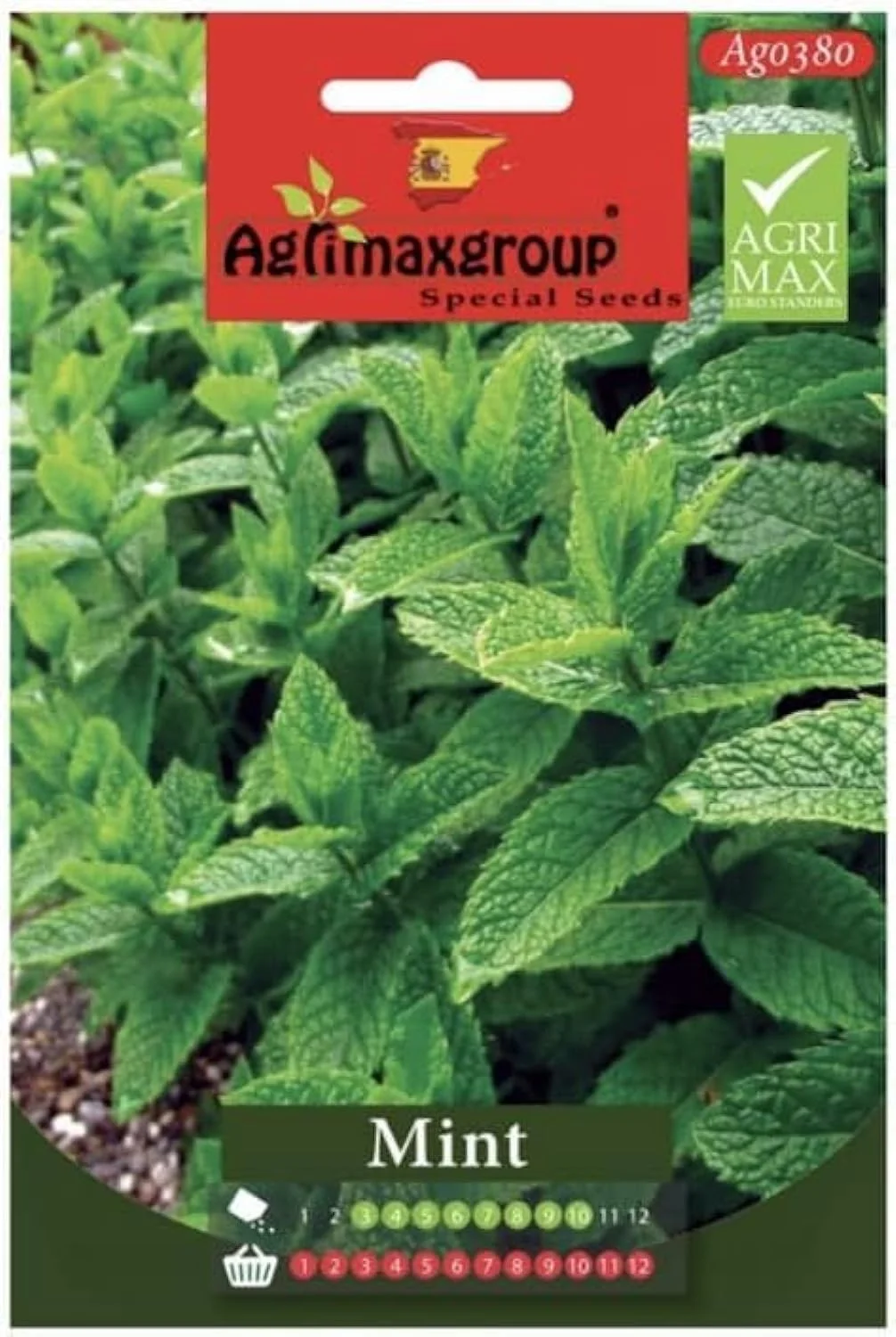 بذر نعناع ممتاز Agrimax (ساخت اسپانیا) توسط Agrimaxgroup®