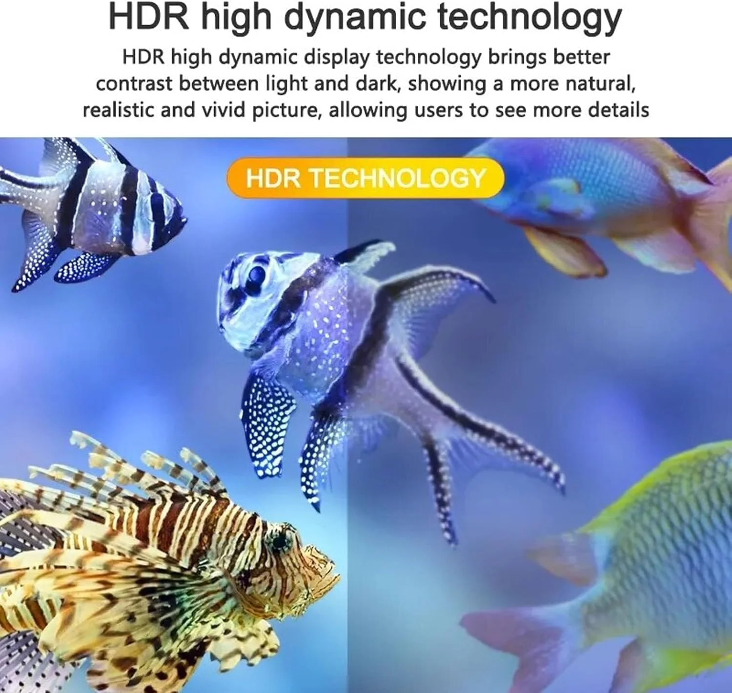 پروژکتور مینی قابل حمل، پروژکتور ویدئویی 1080P Full HD با بلندگوی HIFI داخلی سازگار با HDMI، USB، صدا، کارت TF، AV و کنترل از راه دور، پروژکتور فیلم سینمای خانگی سازگار با iOS/Android پروژکتور مینی قابل حمل، پروژکتور ویدئویی 1080P Full HD با بلندگوی HIFI داخلی سازگار با HDMI، USB، صدا، کارت TF، AV و کنترل از راه دور، پروژکتور فیلم سینمای خانگی سازگار با iOS/Android