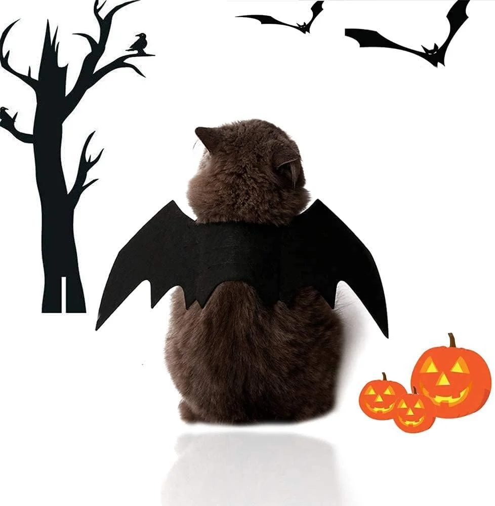 بال های خفاشی لباس هالووین گربه ای مامو بیر، لباس حیوانات خانگی برای سگ ها و گربه های کوچک بال های خفاشی لباس هالووین گربه ای مامو بیر، لباس حیوانات خانگی برای سگ ها و گربه های کوچک