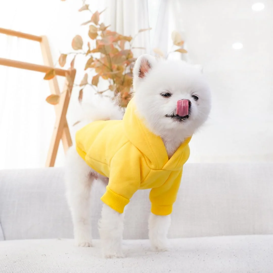 لباس هودی سگ Mumoo Bear، ژاکت هودی گرم نخی زیبا، تی شرت ورزشی سگ توله سگ (زرد، L) لباس هودی سگ Mumoo Bear، ژاکت هودی گرم نخی زیبا، تی شرت ورزشی سگ توله سگ (زرد، L)