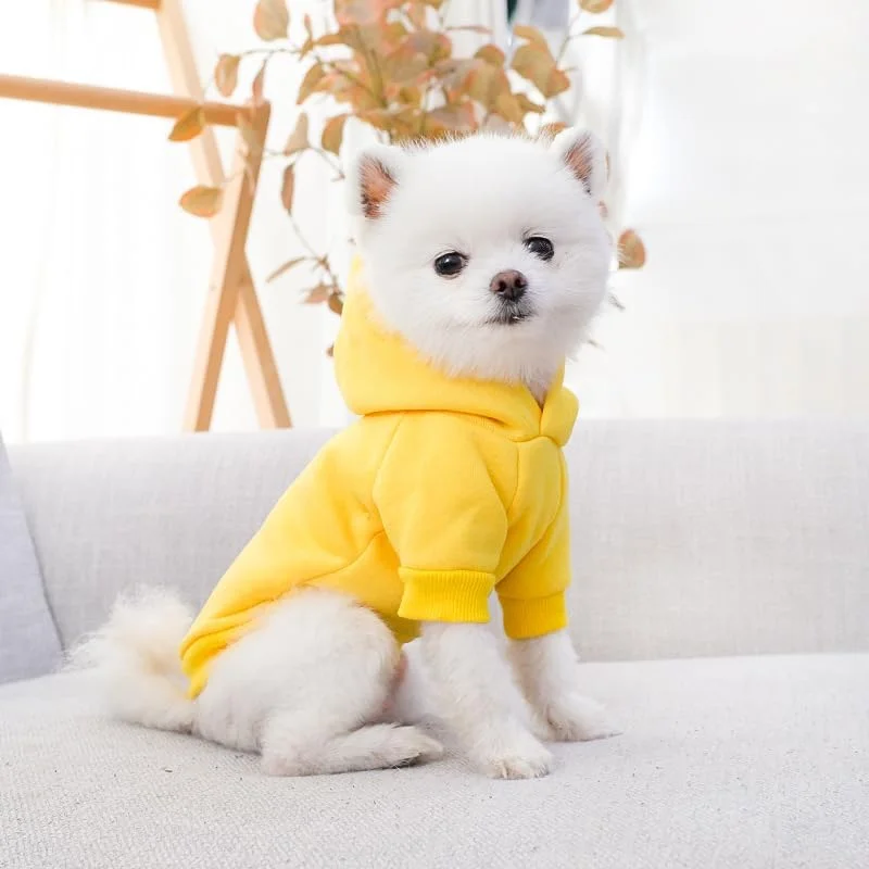 لباس هودی سگ Mumoo Bear، ژاکت هودی گرم نخی زیبا، تی شرت ورزشی سگ توله سگ (زرد، L) لباس هودی سگ Mumoo Bear، ژاکت هودی گرم نخی زیبا، تی شرت ورزشی سگ توله سگ (زرد، L)