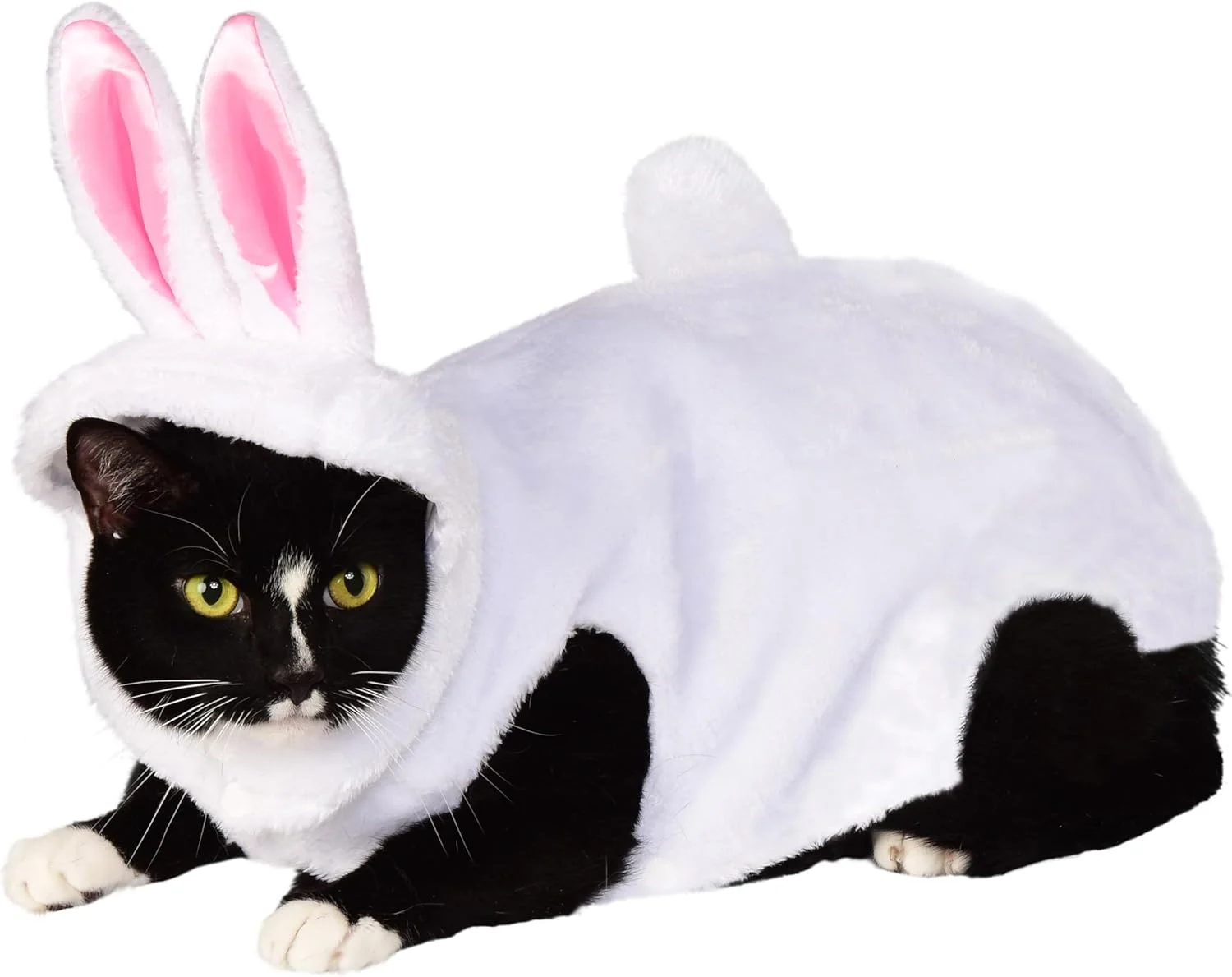 لباس خرگوش روبیز برای حیوانات خانگی، سایز کوچک لباس خرگوش روبیز برای حیوانات خانگی، سایز کوچک