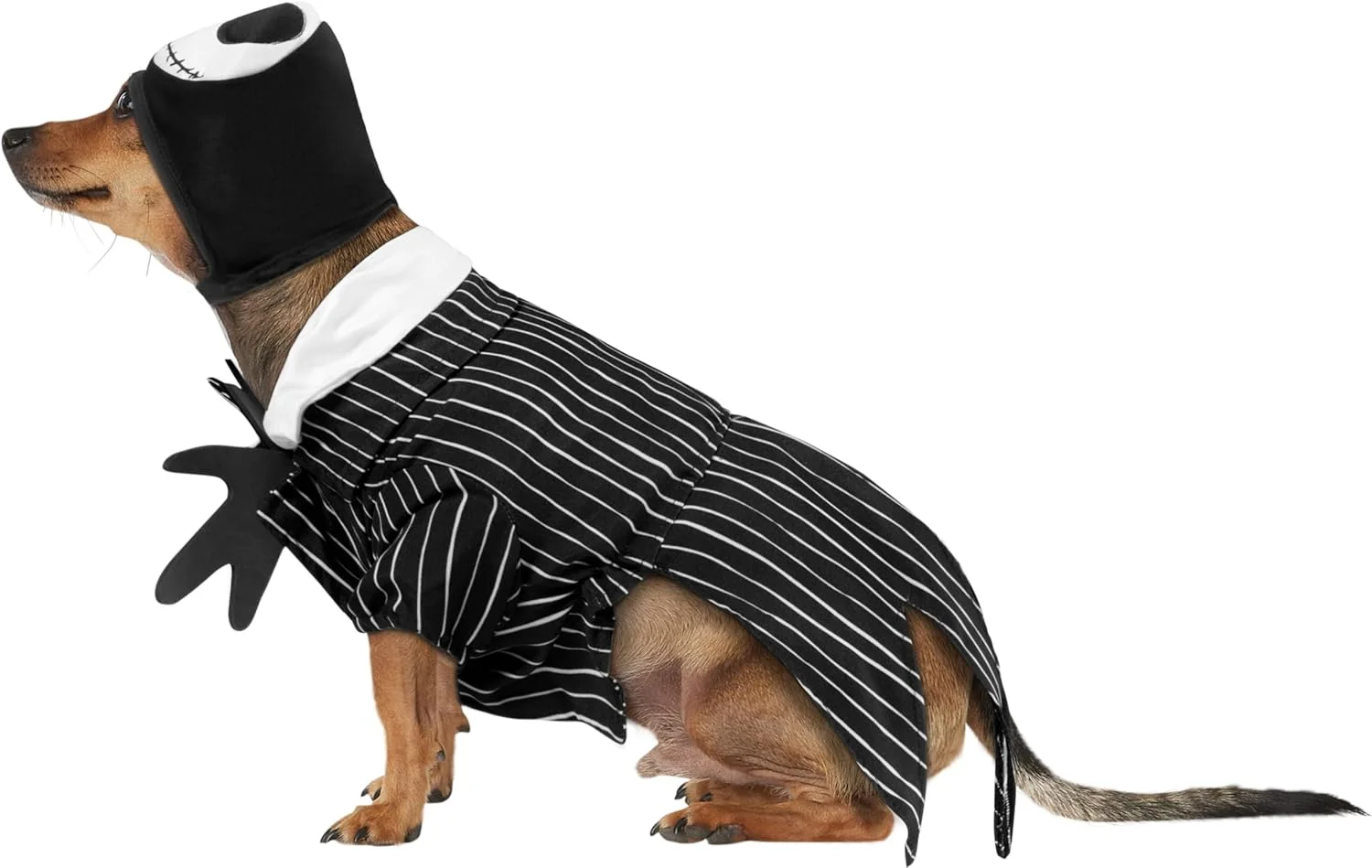 لباس حیوانات خانگی دیزنی کابوس قبل از کریسمس: لباس جک اسکلینگتون برای سگ یا گربه، سایز کوچک لباس حیوانات خانگی دیزنی کابوس قبل از کریسمس: لباس جک اسکلینگتون برای سگ یا گربه، سایز کوچک