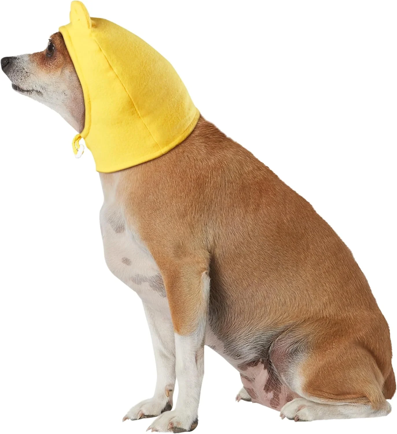 کلاه گیس حیوانات خانگی وینی-د-پو (s) از Rubie's