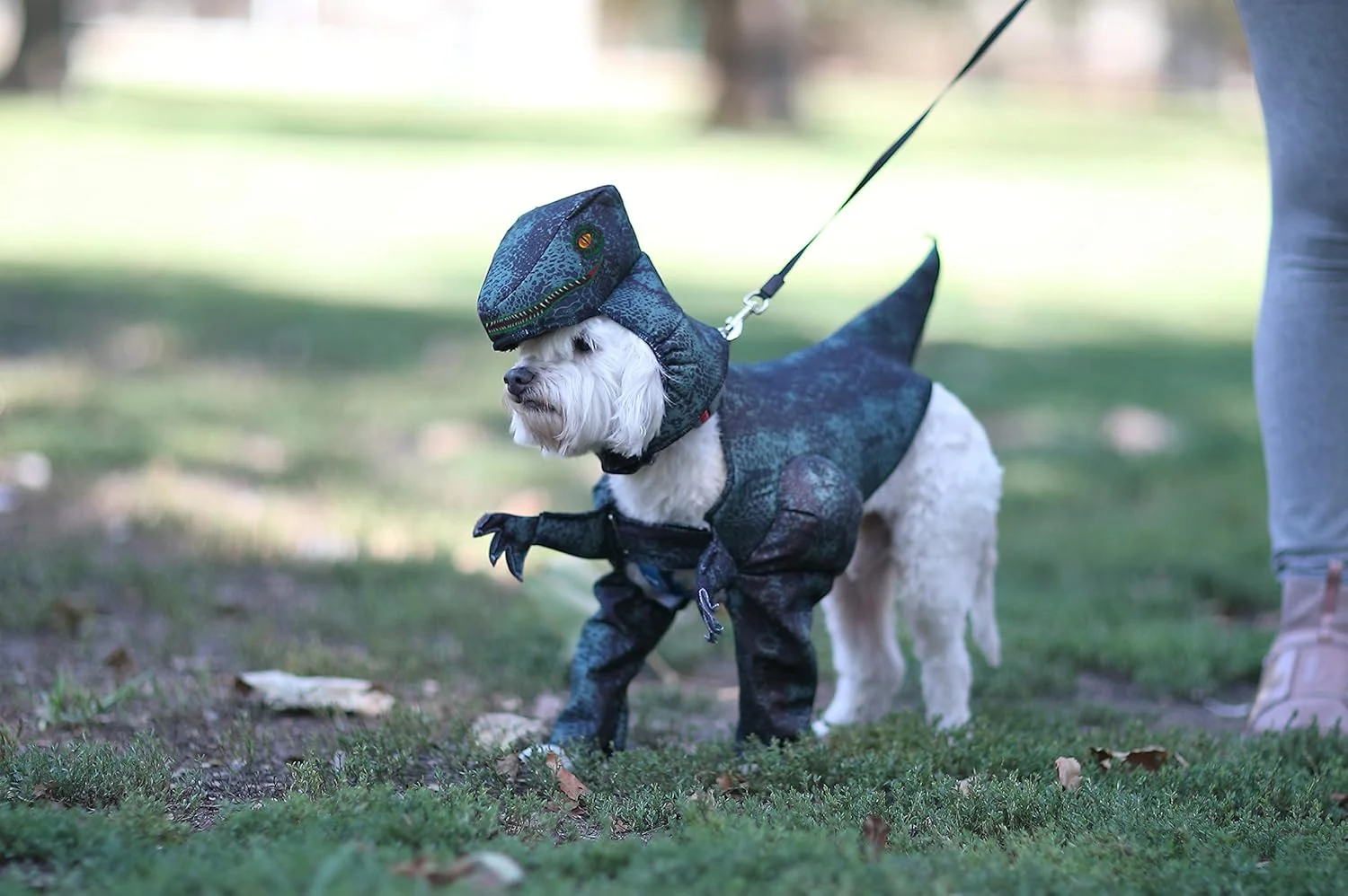 لباس سگ مدل Pupasaurus Rex برند California Costumes سایز X-Small