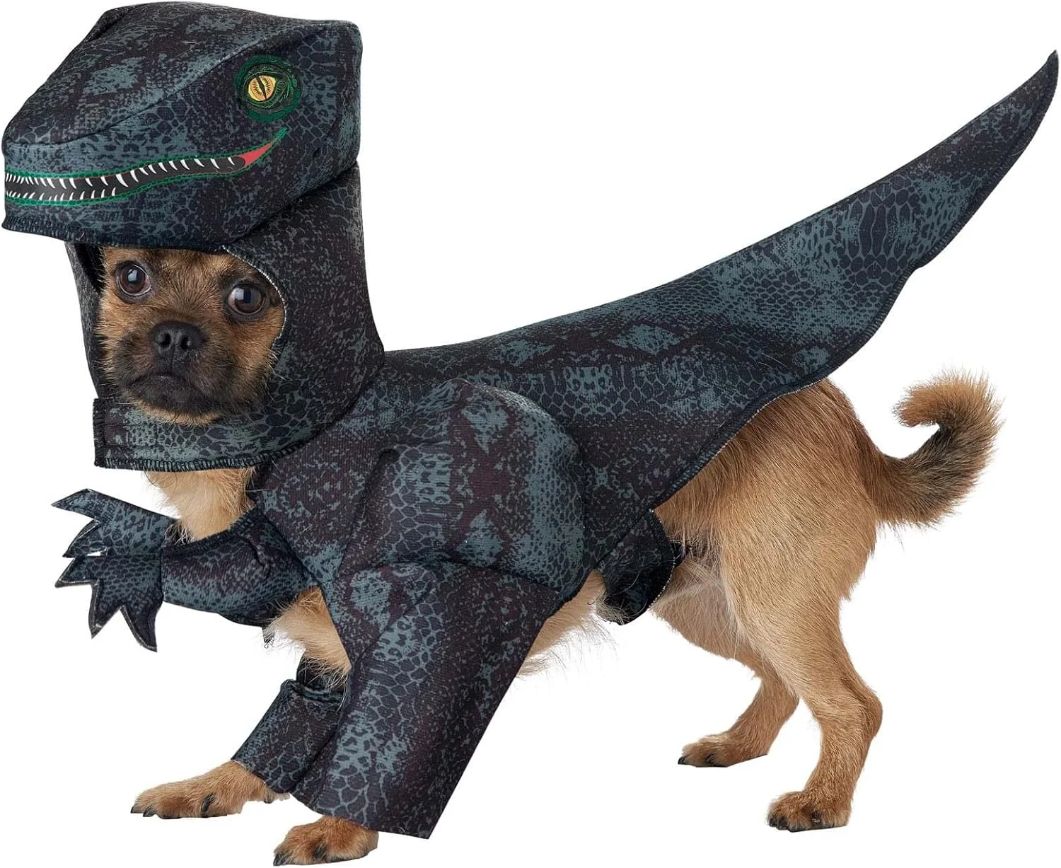 لباس سگ مدل Pupasaurus Rex برند California Costumes سایز X-Small