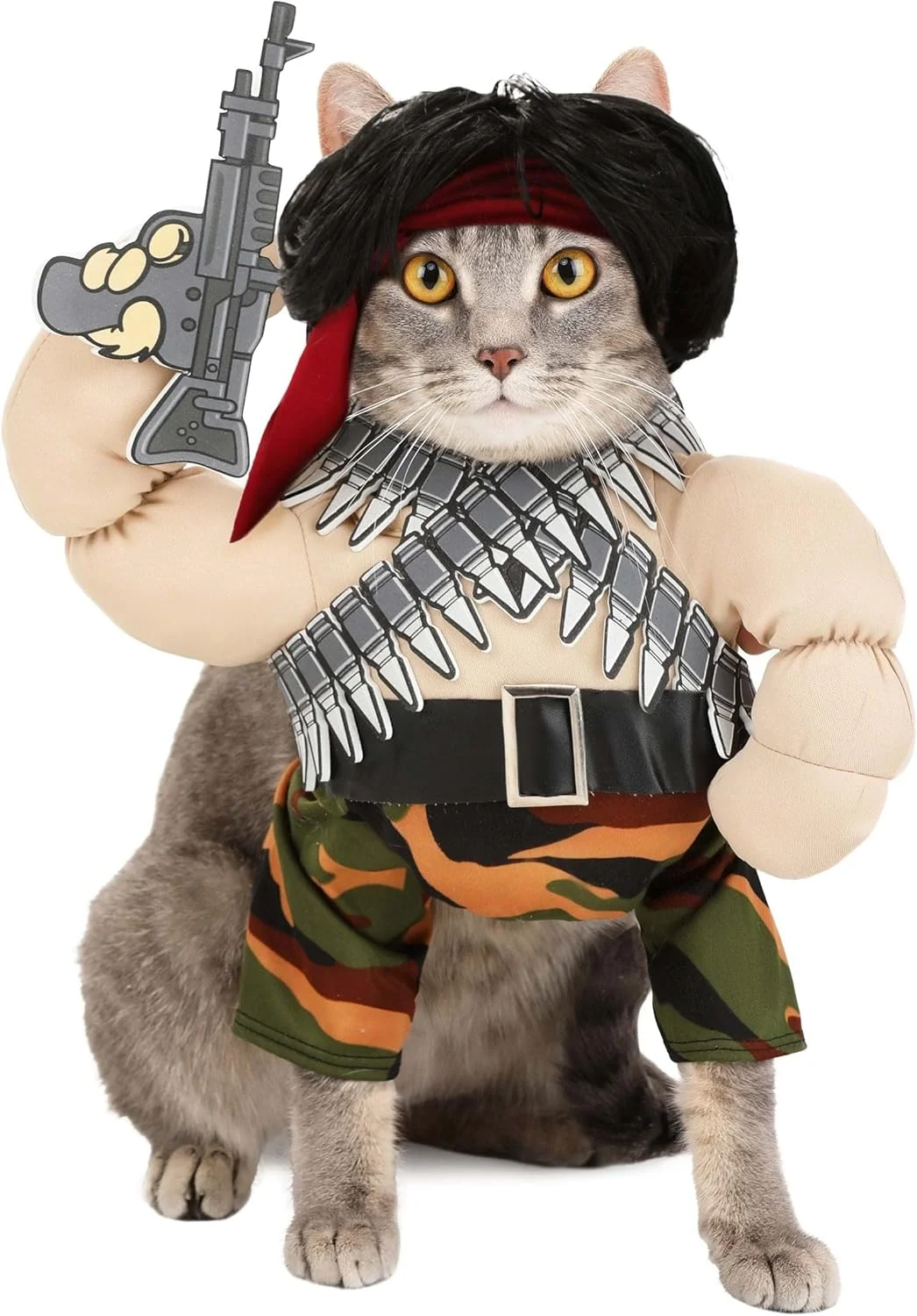 لباس قهرمان اکشن سگ کالیفرنیا کاستوم کالکشنز، حیوان خانگی، چند رنگ، خیلی کوچک (PET20156) لباس قهرمان اکشن سگ کالیفرنیا کاستوم کالکشنز، حیوان خانگی، چند رنگ، خیلی کوچک (PET20156)