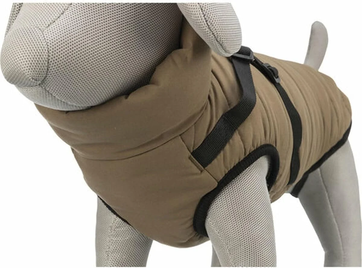 کت سگ تریکسی مدل آرنا سایز S برند: تریکسی - EAN: 4053032676596 کت سگ تریکسی مدل آرنا سایز S برند: تریکسی - EAN: 4053032676596