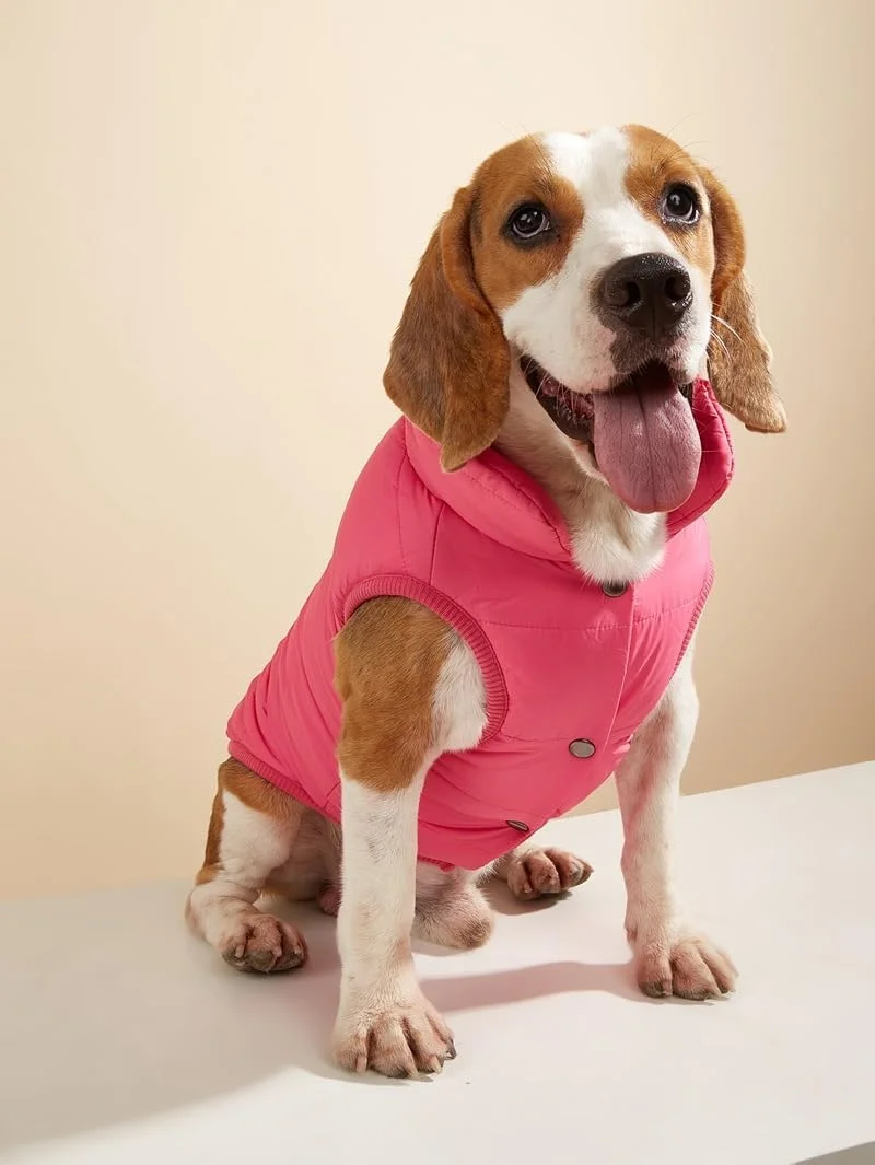 کت زمستانی سگ ELECDON ضد باد، ژاکت ضد آب سگ، جلیقه گرم سگ، لباس حیوانات خانگی مناسب هوای سرد با آستر پشمی دو لایه برای سگ های کوچک، متوسط و بزرگ (XS) کت زمستانی سگ ELECDON ضد باد، ژاکت ضد آب سگ، جلیقه گرم سگ، لباس حیوانات خانگی مناسب هوای سرد با آستر پشمی دو لایه برای سگ های کوچک، متوسط و بزرگ (XS)