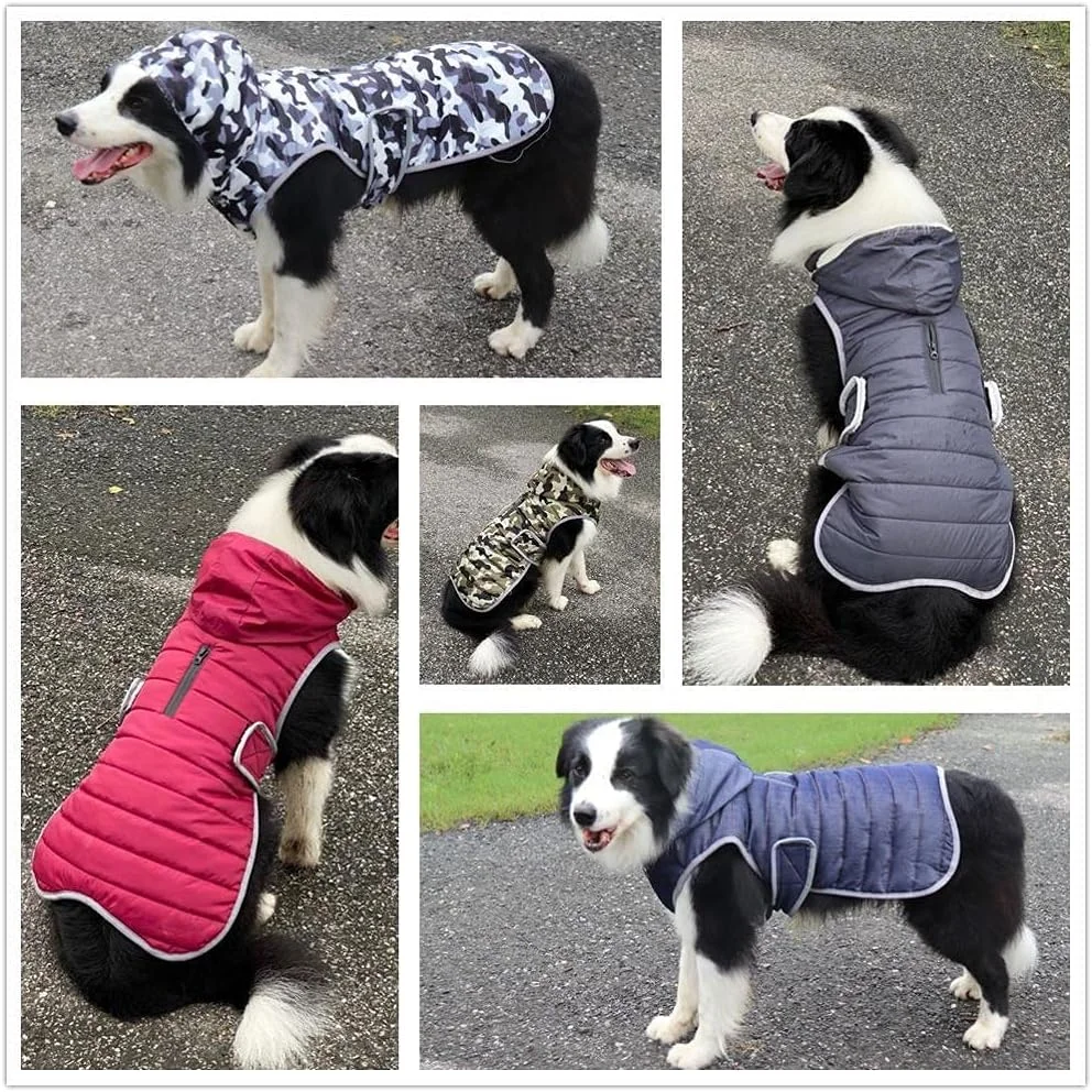 لباس زمستانی سگ AAZZXSX مناسب سگ های بزرگ، ژاکت ضد آب کلاه دار سگ، ژاکت سگ بازتابنده ضد باد، کت گرم پشمی ضخیم، لباس پد دار (آبی تیره، M)