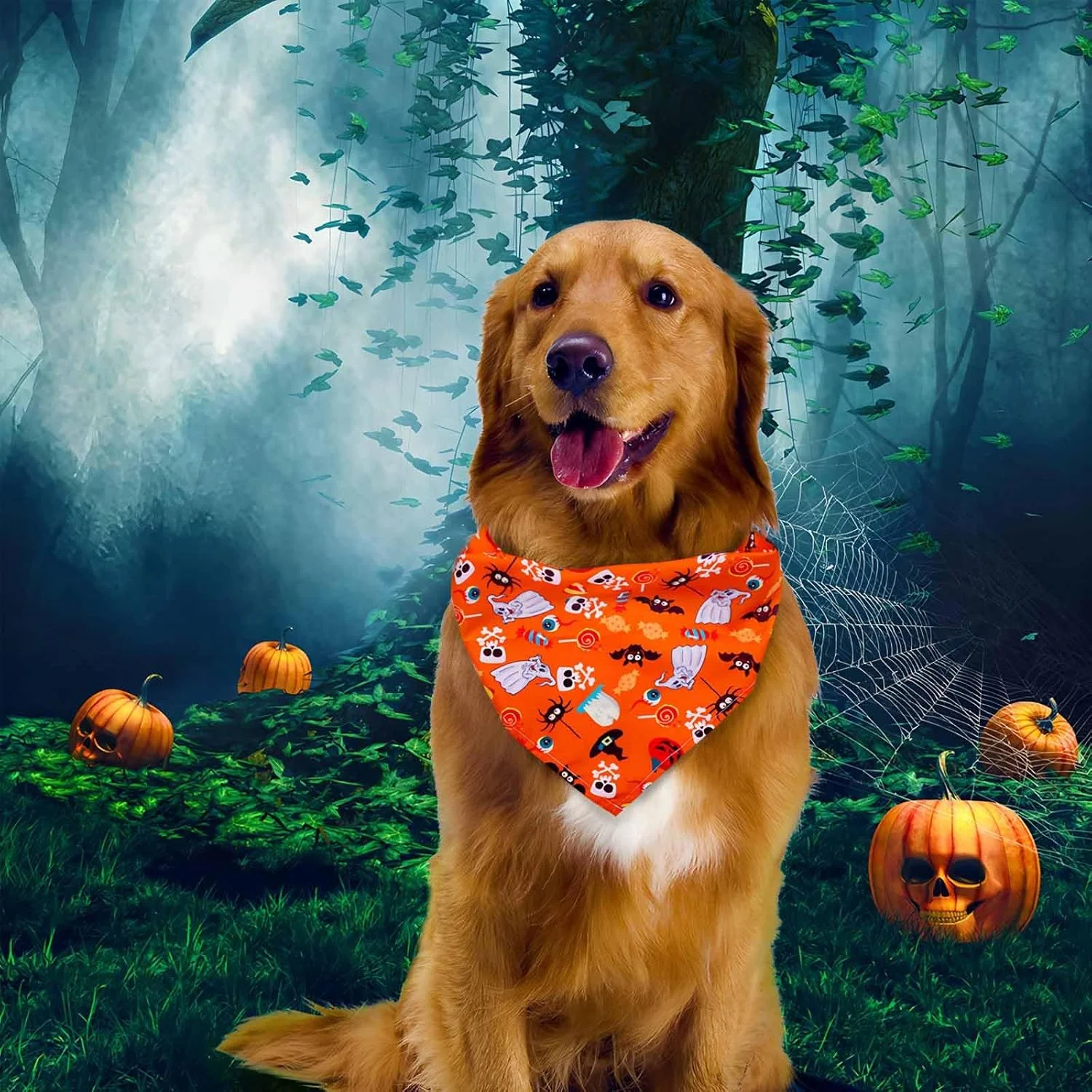 3 عدد دستمال گردن سگ طرح هالووین 3 عدد دستمال گردن سگ طرح هالووین