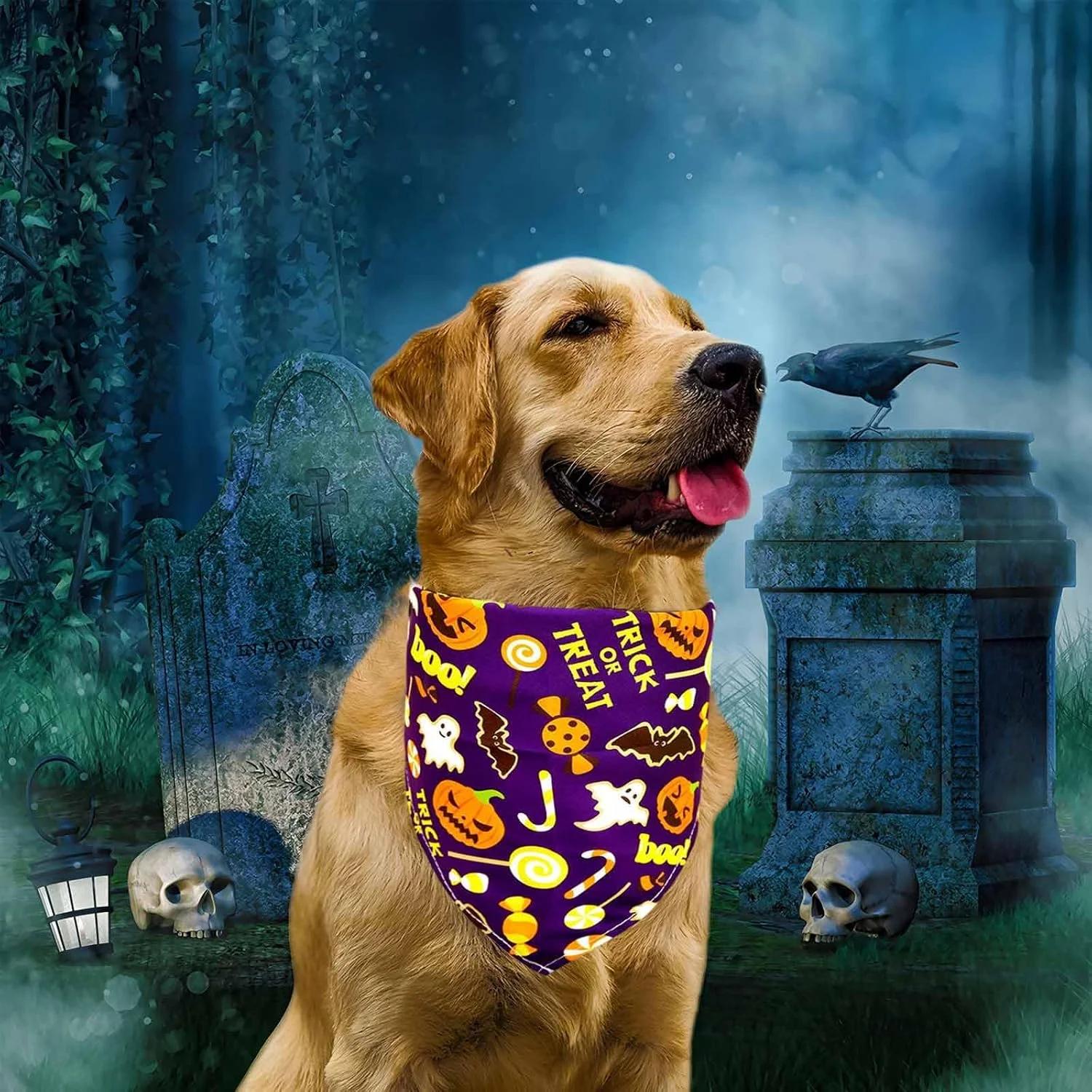 3 عدد دستمال گردن سگ طرح هالووین 3 عدد دستمال گردن سگ طرح هالووین