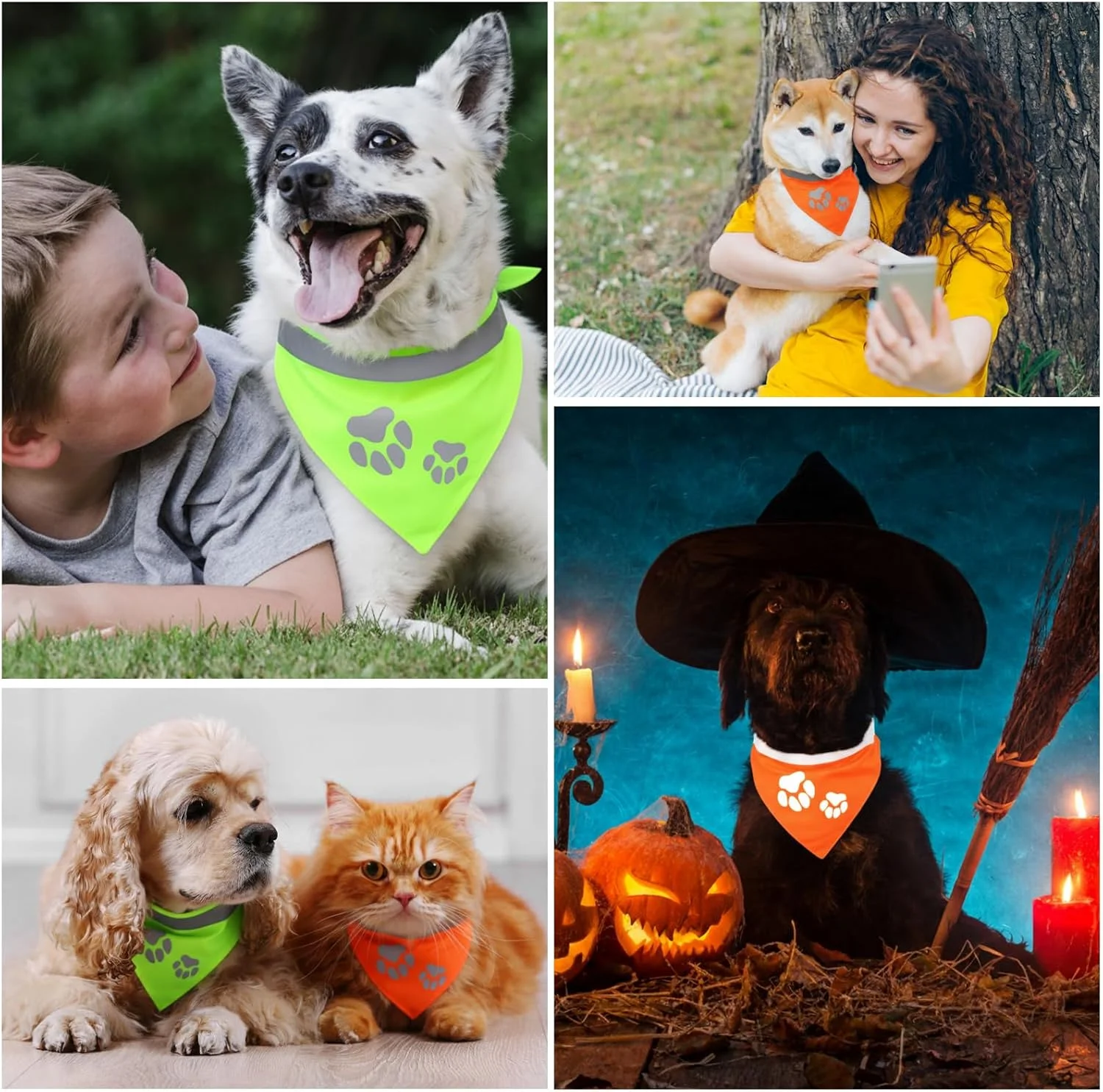 سنتریگو 2 عدد دستمال گردن سگ، شال سگ بازتابنده زرد، ایمنی با دید بالا، دستمال گردن مثلثی سگ برای حیوانات خانگی متوسط بزرگ گربه ها توله سگ (16-20.5 اینچ، گردن پنجه) سنتریگو 2 عدد دستمال گردن سگ، شال سگ بازتابنده زرد، ایمنی با دید بالا، دستمال گردن مثلثی سگ برای حیوانات خانگی متوسط بزرگ گربه ها توله سگ (16-20.5 اینچ، گردن پنجه)