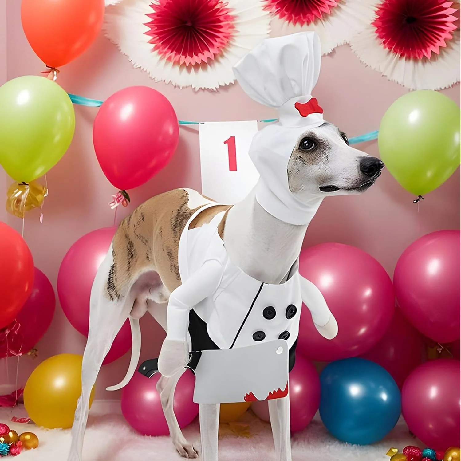 لباس هالووین برای سگ ها - لباس سرآشپز خنده دار برای تعطیلات | لوازم عکس با پیراهن سرآشپز و کلاه آشپزی، لباس های شبح وار، لباس حیوانات خانگی برای بچه گربه، توله سگ کوچک، متوسط و بزرگ لباس هالووین برای سگ ها - لباس سرآشپز خنده دار برای تعطیلات | لوازم عکس با پیراهن سرآشپز و کلاه آشپزی، لباس های شبح وار، لباس حیوانات خانگی برای بچه گربه، توله سگ کوچک، متوسط و بزرگ