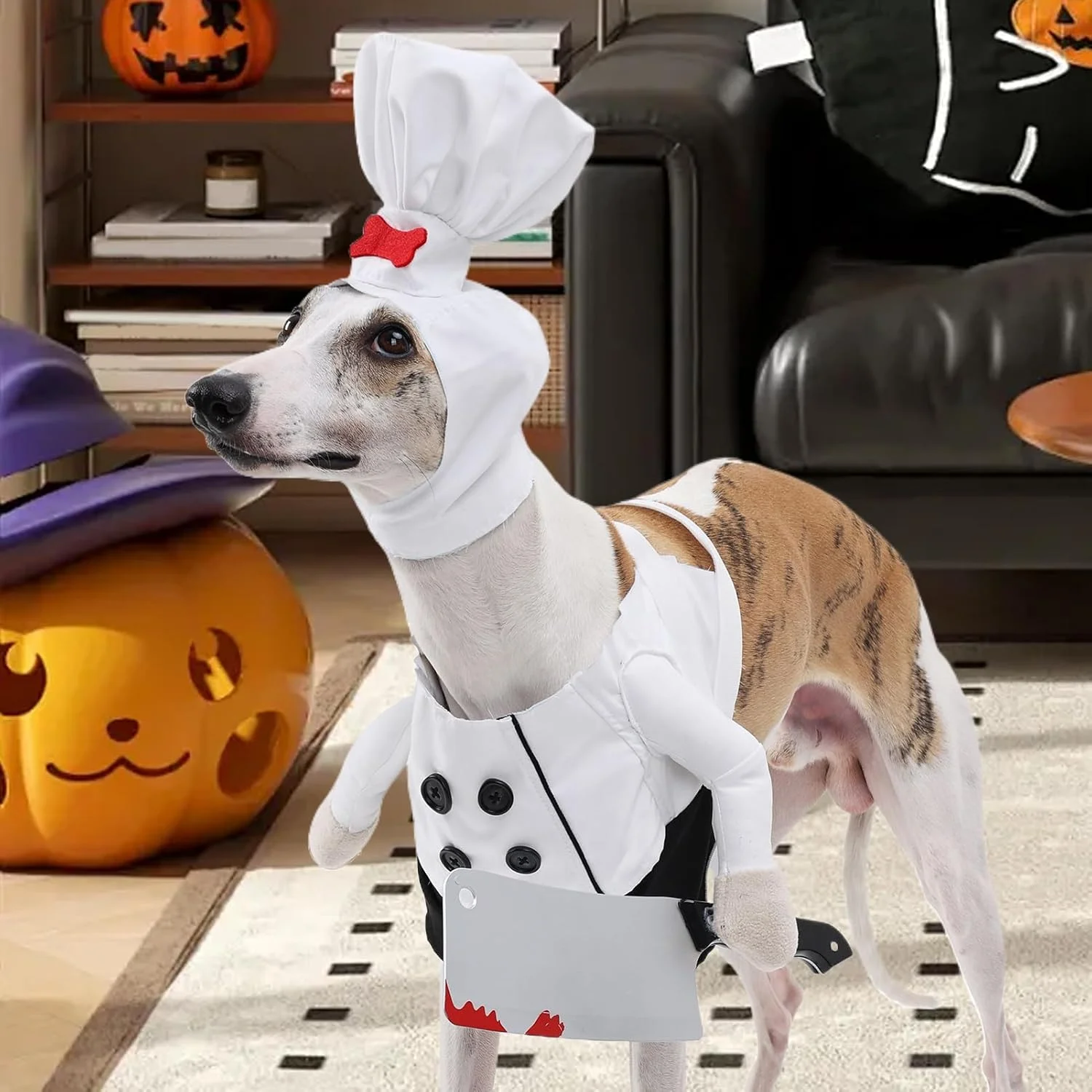 لباس هالووین حیوانات خانگی، لباس سرآشپز خنده دار برای سگ ها - لباس های شبح آور و لوازم جانبی حیوانات خانگی برای عکاسی، جشن تولد و جشنواره لباس هالووین حیوانات خانگی، لباس سرآشپز خنده دار برای سگ ها - لباس های شبح آور و لوازم جانبی حیوانات خانگی برای عکاسی، جشن تولد و جشنواره