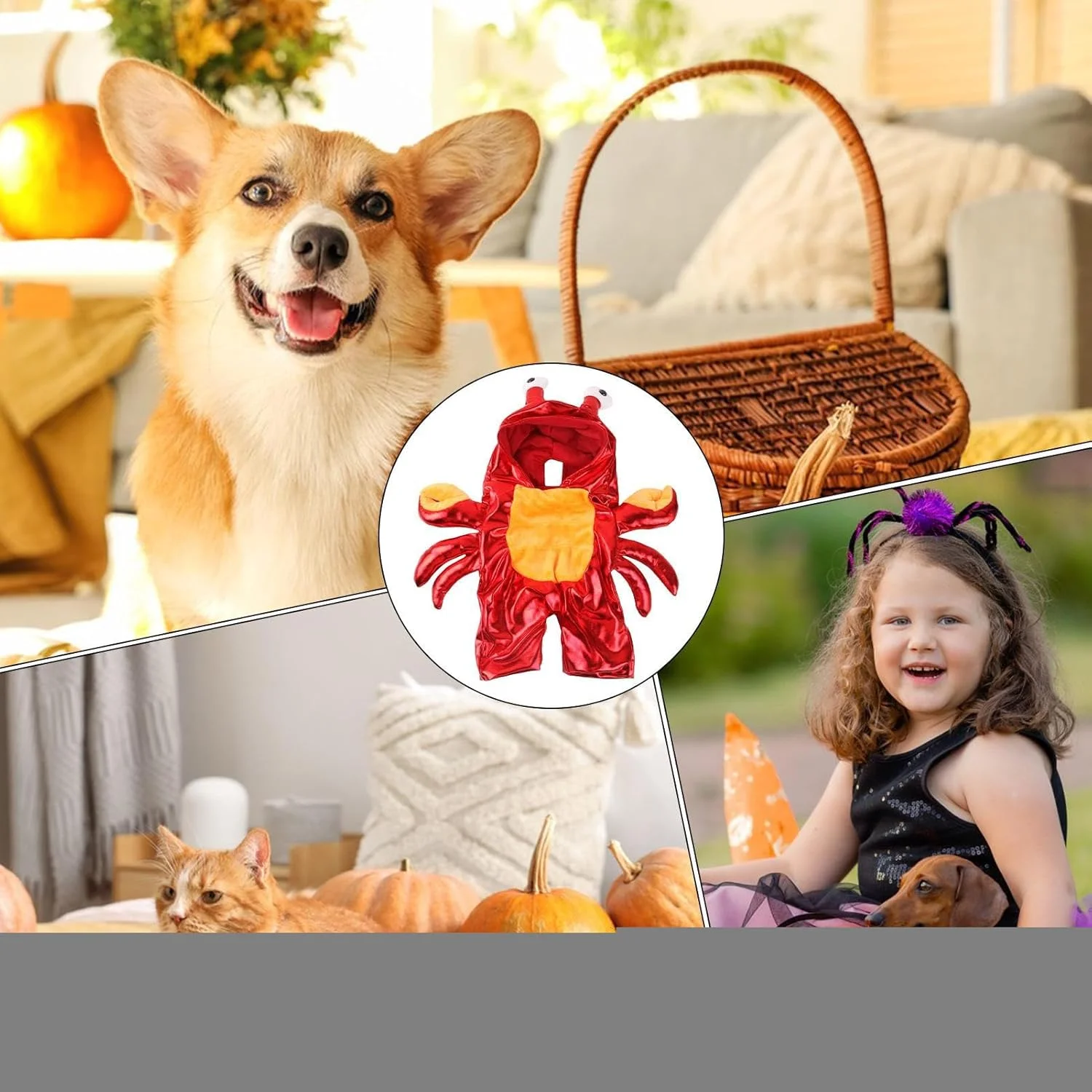 لباس هالووین سگ - لباس خرچنگ برای سگ و گربه - لباس مهمانی برای گربه ها، مناسب برای سگ های کوچک در فضای باز، وسایل عکس برداری و جشن ها لباس هالووین سگ - لباس خرچنگ برای سگ و گربه - لباس مهمانی برای گربه ها، مناسب برای سگ های کوچک در فضای باز، وسایل عکس برداری و جشن ها