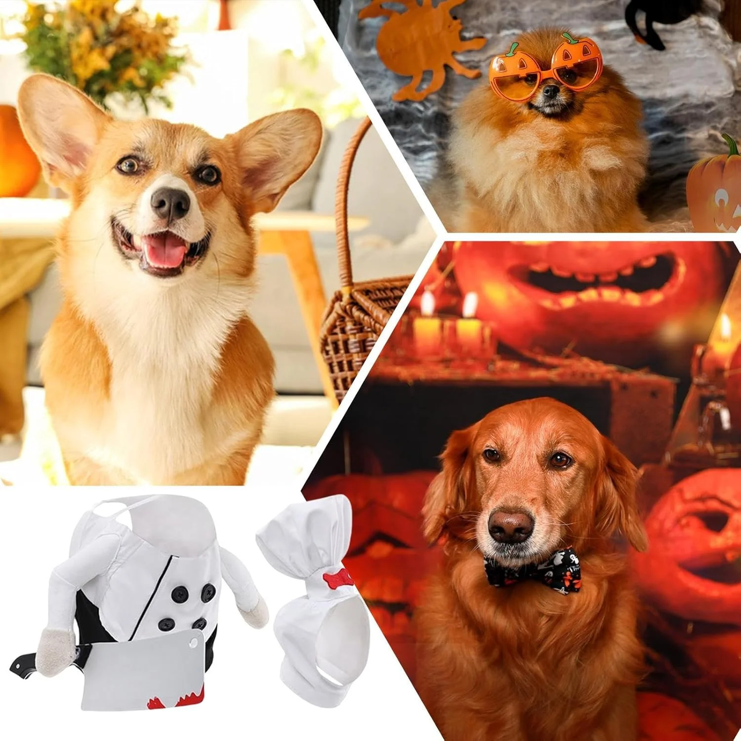 لباس هالووین سگ - لباس سرآشپز برای حیوانات خانگی، مناسب هالووین و نقش آفرینی - لباس های خنده دار و قابل تنظیم با پیراهن سرآشپز، مناسب سگ های بزرگ، متوسط و کوچک برای تولد و عکاسی لباس هالووین سگ - لباس سرآشپز برای حیوانات خانگی، مناسب هالووین و نقش آفرینی - لباس های خنده دار و قابل تنظیم با پیراهن سرآشپز، مناسب سگ های بزرگ، متوسط و کوچک برای تولد و عکاسی