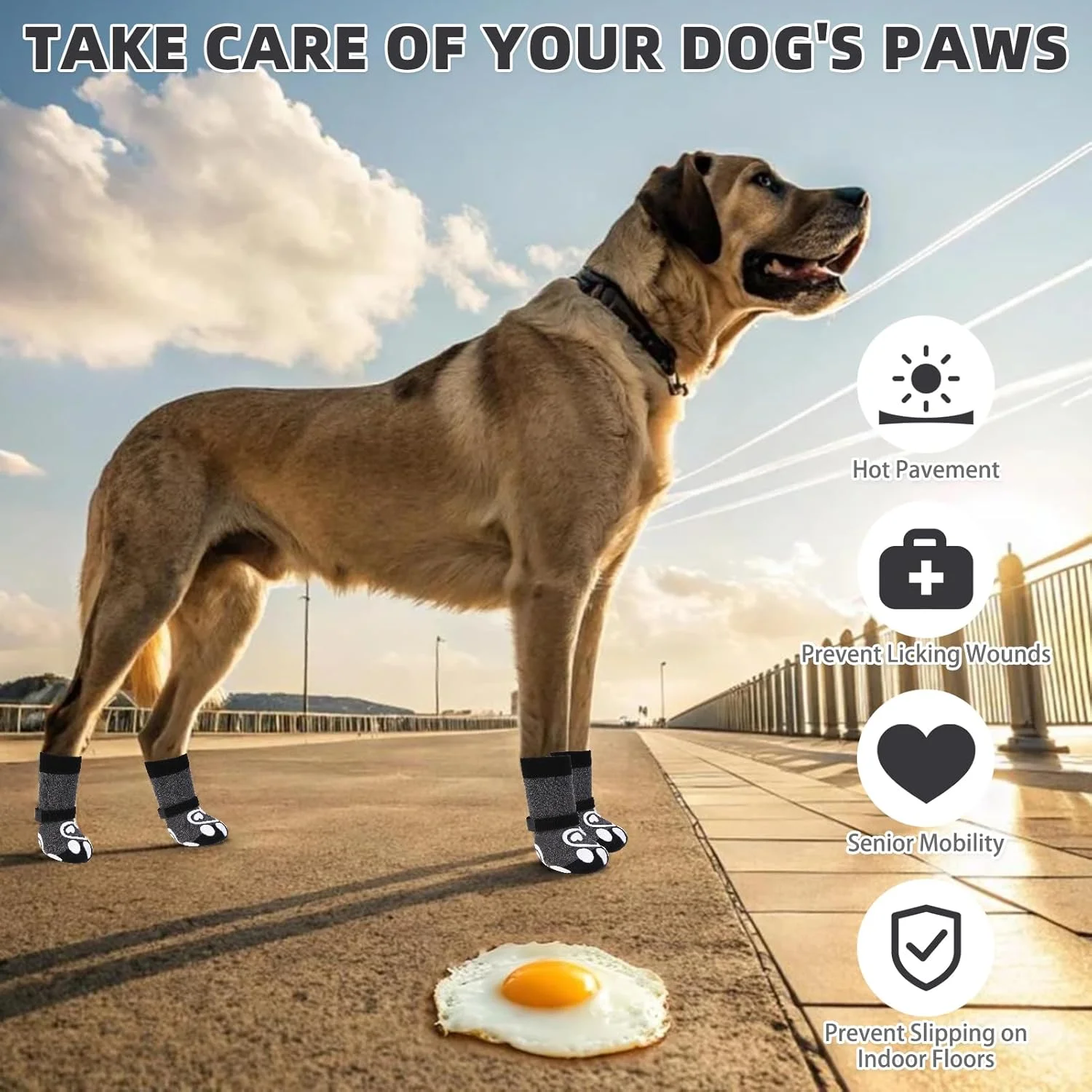 جوراب سگ کولتیل برای سطوح داغ/سرد برای جلوگیری از لیسیدن پنجه ها، چکمه سگ و محافظ پنجه برای کف های چوبی ضد لغزش، پاپوش های کنترل کشش برای سگ های کوچک، متوسط، بزرگ و مسن، XS جوراب سگ کولتیل برای سطوح داغ/سرد برای جلوگیری از لیسیدن پنجه ها، چکمه سگ و محافظ پنجه برای کف های چوبی ضد لغزش، پاپوش های کنترل کشش برای سگ های کوچک، متوسط، بزرگ و مسن، XS