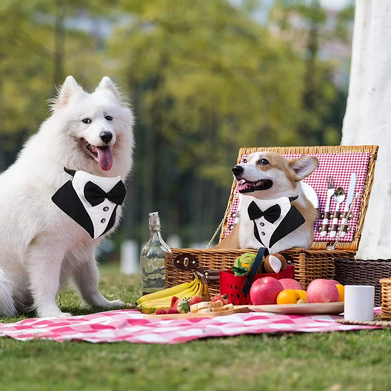 پاپیون سگ KOWVOWZ، یقه دستمال گردن رسمی تاکسیدو، پاپیون حیوانات خانگی قابل تنظیم برای عروسی با پاپیون و کراوات برای سگ های متوسط و بزرگ (متوسط) پاپیون سگ KOWVOWZ، یقه دستمال گردن رسمی تاکسیدو، پاپیون حیوانات خانگی قابل تنظیم برای عروسی با پاپیون و کراوات برای سگ های متوسط و بزرگ (متوسط)