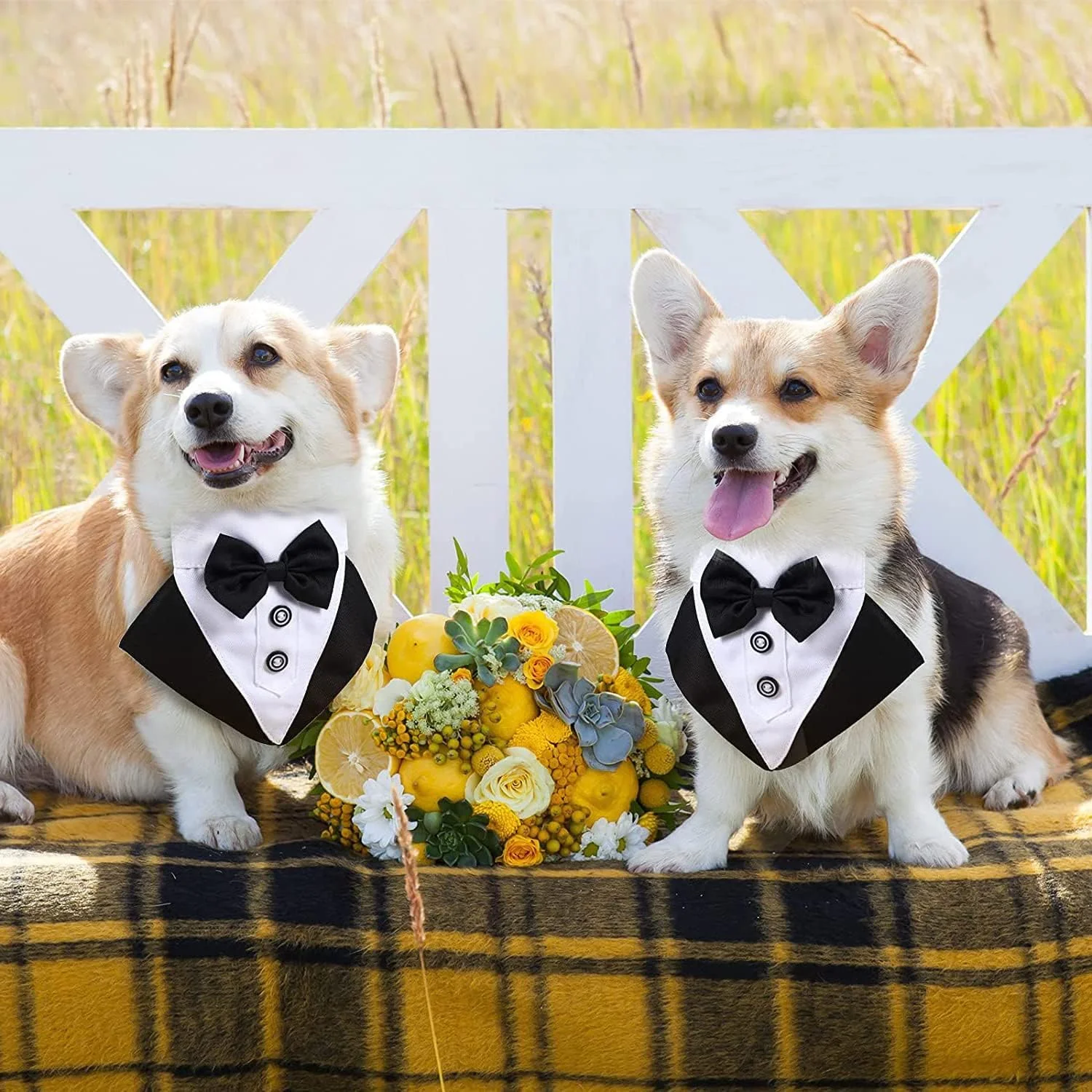 پاپیون سگ KOWVOWZ، یقه دستمال گردن رسمی تاکسیدو، پاپیون حیوانات خانگی قابل تنظیم برای عروسی با پاپیون و کراوات برای سگ های متوسط و بزرگ (متوسط) پاپیون سگ KOWVOWZ، یقه دستمال گردن رسمی تاکسیدو، پاپیون حیوانات خانگی قابل تنظیم برای عروسی با پاپیون و کراوات برای سگ های متوسط و بزرگ (متوسط)