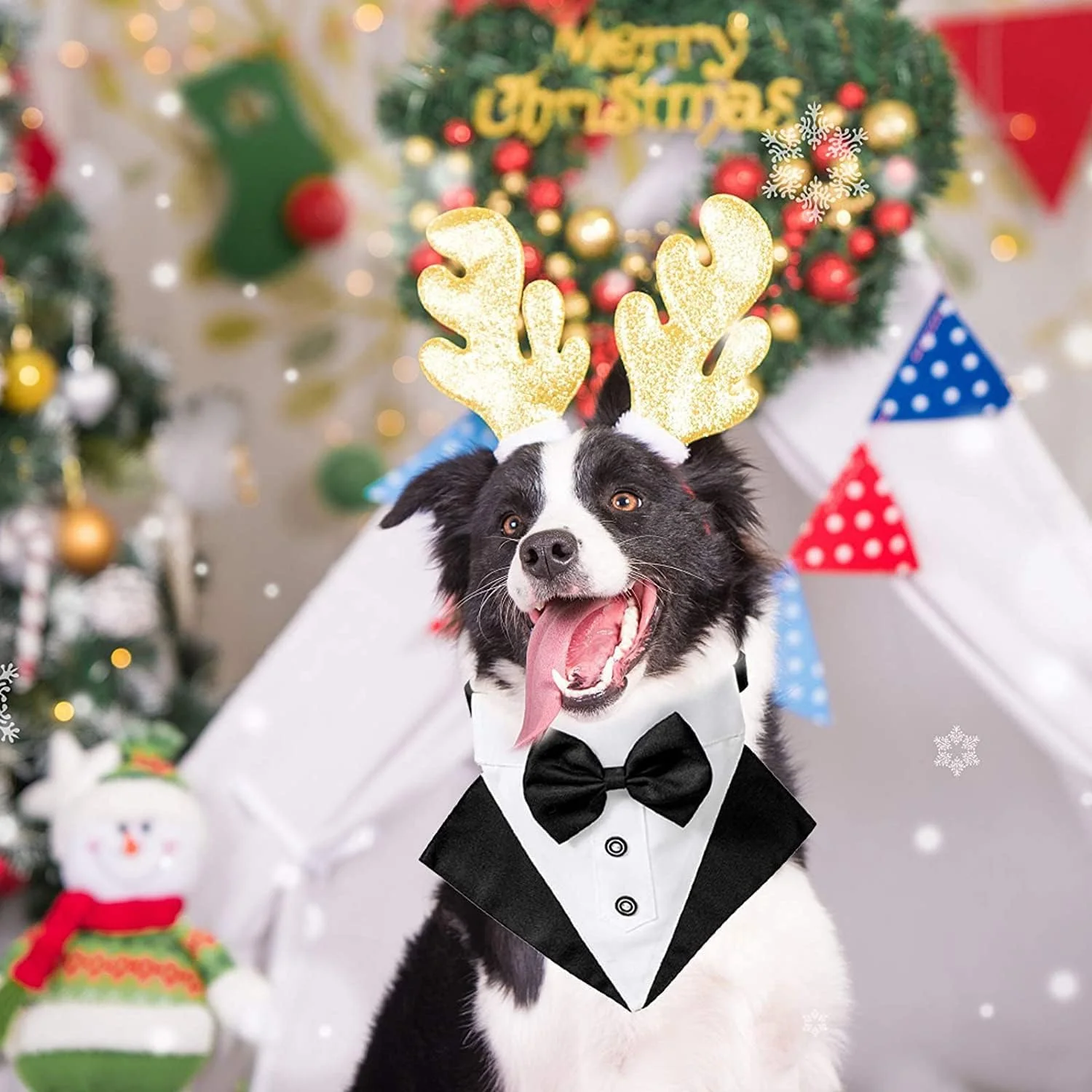 پاپیون سگ KOWVOWZ، یقه دستمال گردن رسمی تاکسیدو، پاپیون حیوانات خانگی قابل تنظیم برای عروسی با پاپیون و کراوات برای سگ های متوسط و بزرگ (متوسط) پاپیون سگ KOWVOWZ، یقه دستمال گردن رسمی تاکسیدو، پاپیون حیوانات خانگی قابل تنظیم برای عروسی با پاپیون و کراوات برای سگ های متوسط و بزرگ (متوسط)