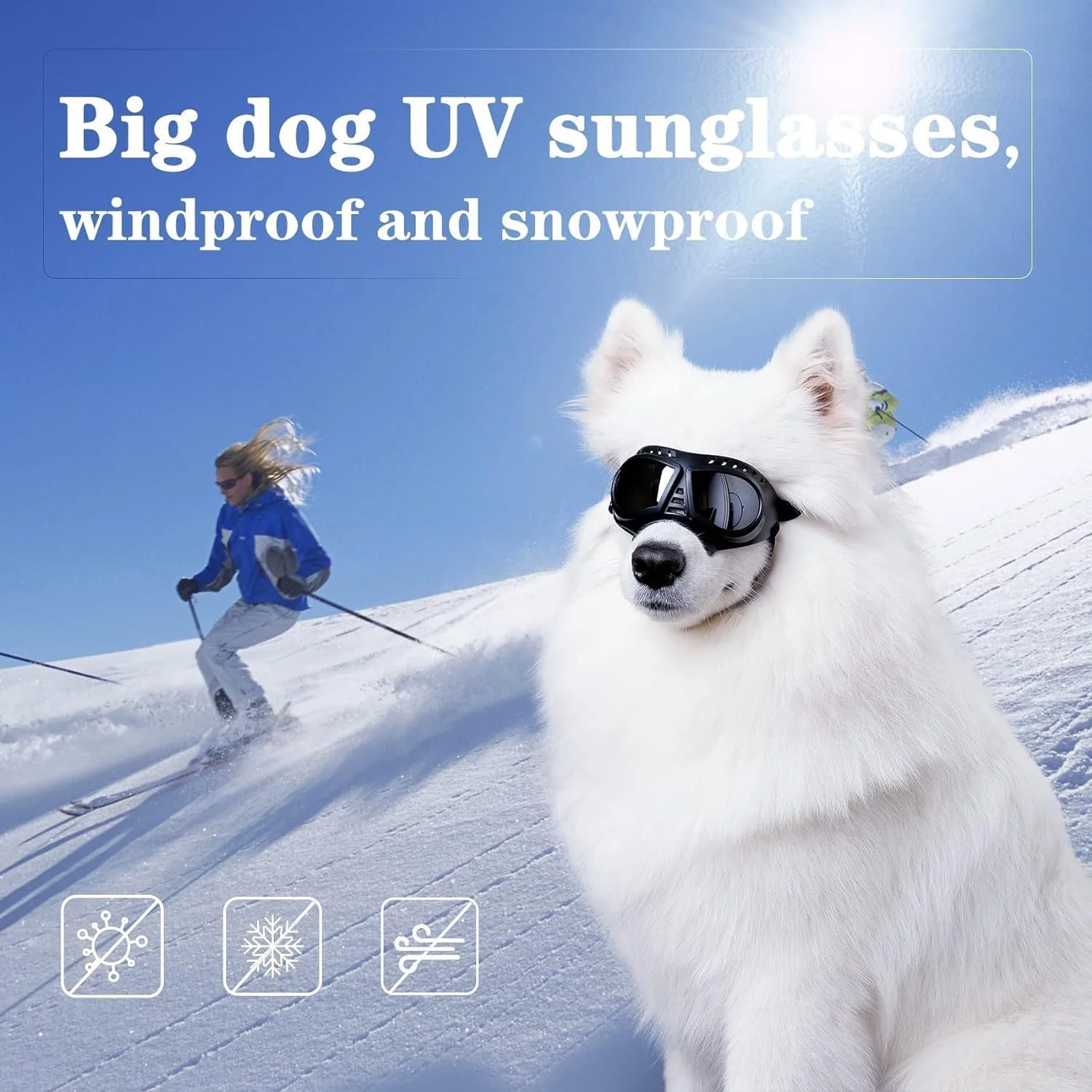 عینک آفتابی سگ NALACAL، عینک محافظ UV با بندهای قابل تنظیم برای سگ های پوزه بلند، ماسک با فریم نرم ضد باد برای سگ های کوچک و متوسط (بزرگ، مشکی) عینک آفتابی سگ NALACAL، عینک محافظ UV با بندهای قابل تنظیم برای سگ های پوزه بلند، ماسک با فریم نرم ضد باد برای سگ های کوچک و متوسط (بزرگ، مشکی)