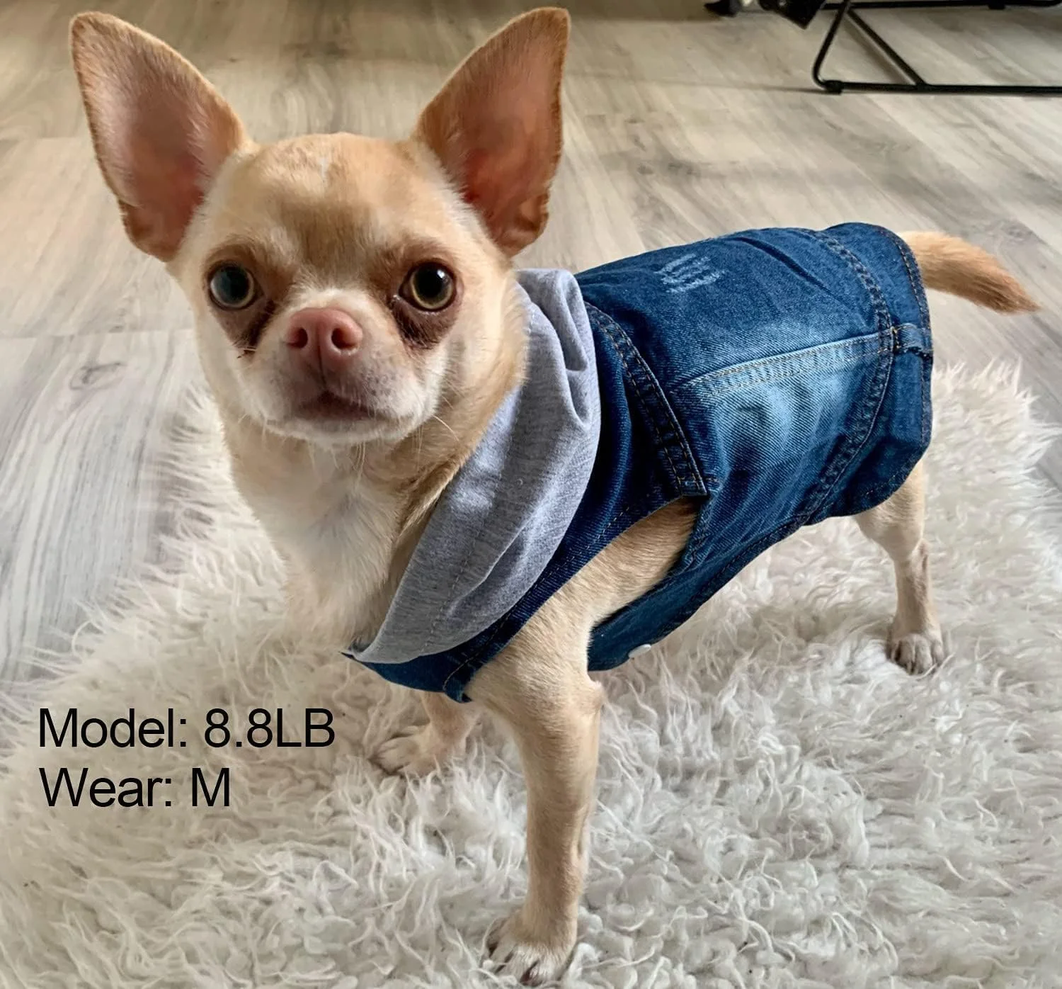 کت جین سگ NALACAL، سایز L، هودی جین آبی سگ، لباس جین حیوانات خانگی، جلیقه سگ قابل شستشو، لباس سگ خنک، جلیقه یقه برگردان سگ، لباس جین سگ، کت سگ فضای باز برای سگ ها و گربه های کوچک و متوسط کت جین سگ NALACAL، سایز L، هودی جین آبی سگ، لباس جین حیوانات خانگی، جلیقه سگ قابل شستشو، لباس سگ خنک، جلیقه یقه برگردان سگ، لباس جین سگ، کت سگ فضای باز برای سگ ها و گربه های کوچک و متوسط