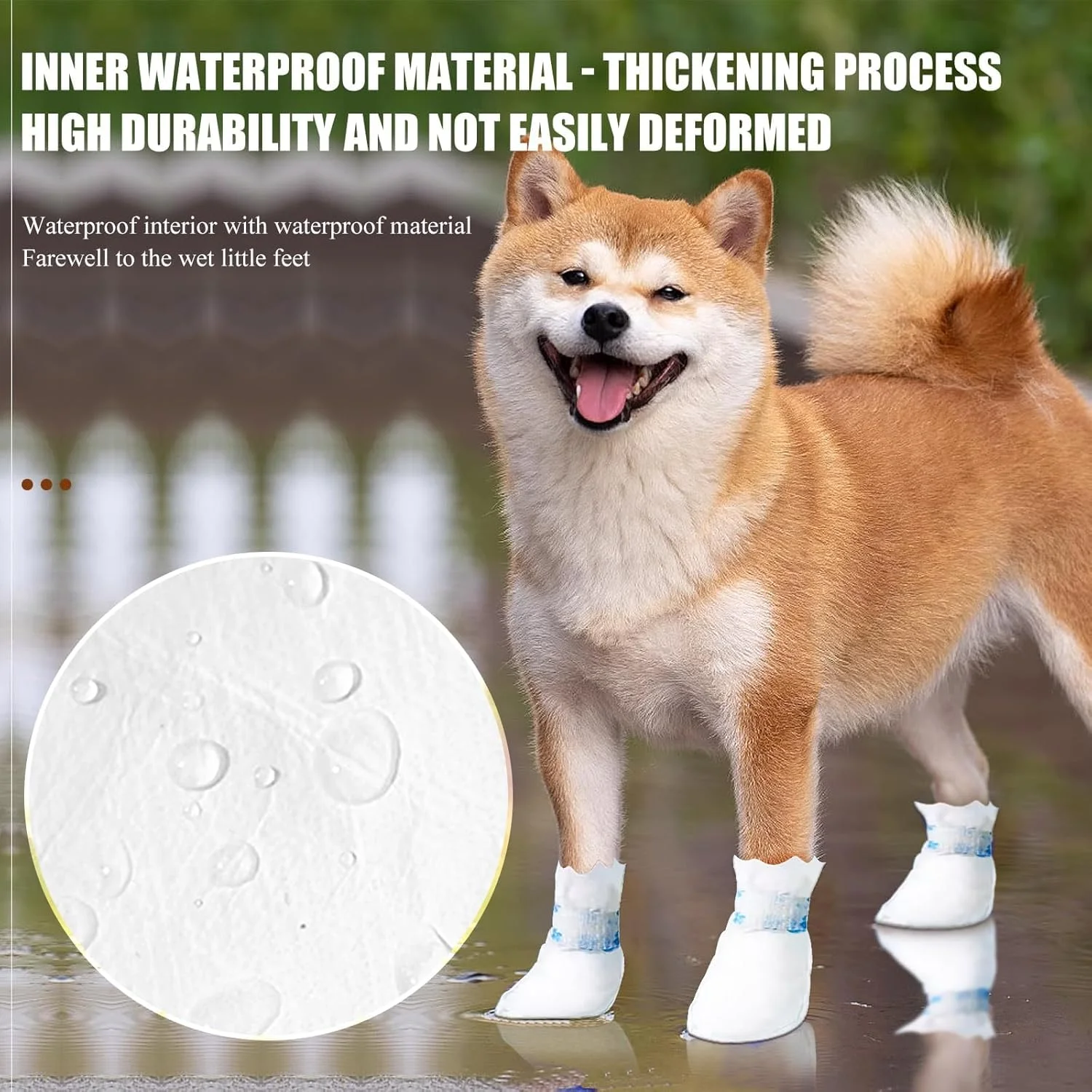 کاور کفش یکبار مصرف سگ NALACAL، بسته 12 عددی محافظ پنجه سگ، روکش کفش حیوانات خانگی برای سگ ها، محافظ زخم پنجه به همراه 1 رول باند پنجه سگ برای سگ های کوچک و متوسط (آبی، بسته 12 عددی) کاور کفش یکبار مصرف سگ NALACAL، بسته 12 عددی محافظ پنجه سگ، روکش کفش حیوانات خانگی برای سگ ها، محافظ زخم پنجه به همراه 1 رول باند پنجه سگ برای سگ های کوچک و متوسط (آبی، بسته 12 عددی)