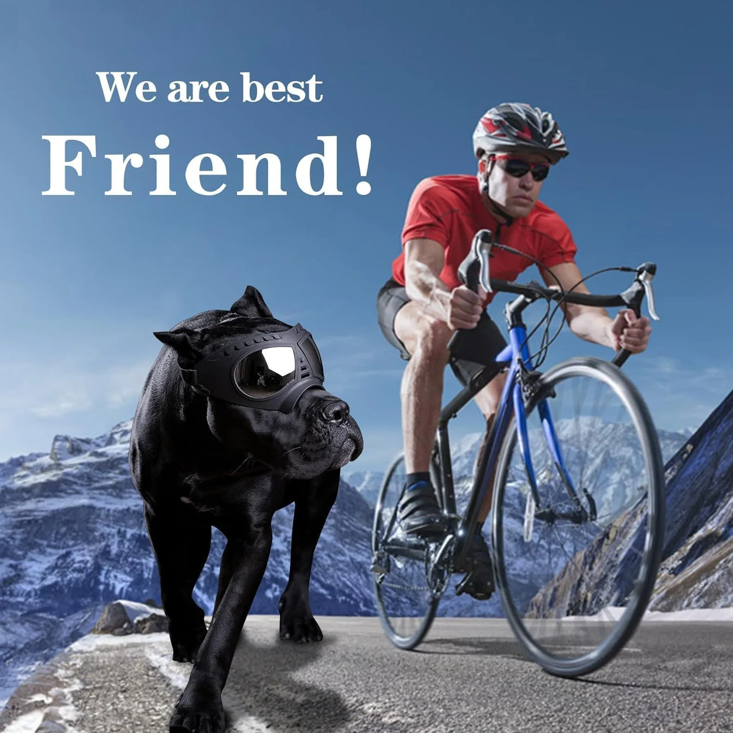 عینک آفتابی سگ NALACAL، عینک محافظ UV با بندهای قابل تنظیم برای سگ های پوزه بلند، ماسک با فریم نرم ضد باد برای سگ های کوچک و متوسط (بزرگ، مشکی) عینک آفتابی سگ NALACAL، عینک محافظ UV با بندهای قابل تنظیم برای سگ های پوزه بلند، ماسک با فریم نرم ضد باد برای سگ های کوچک و متوسط (بزرگ، مشکی)