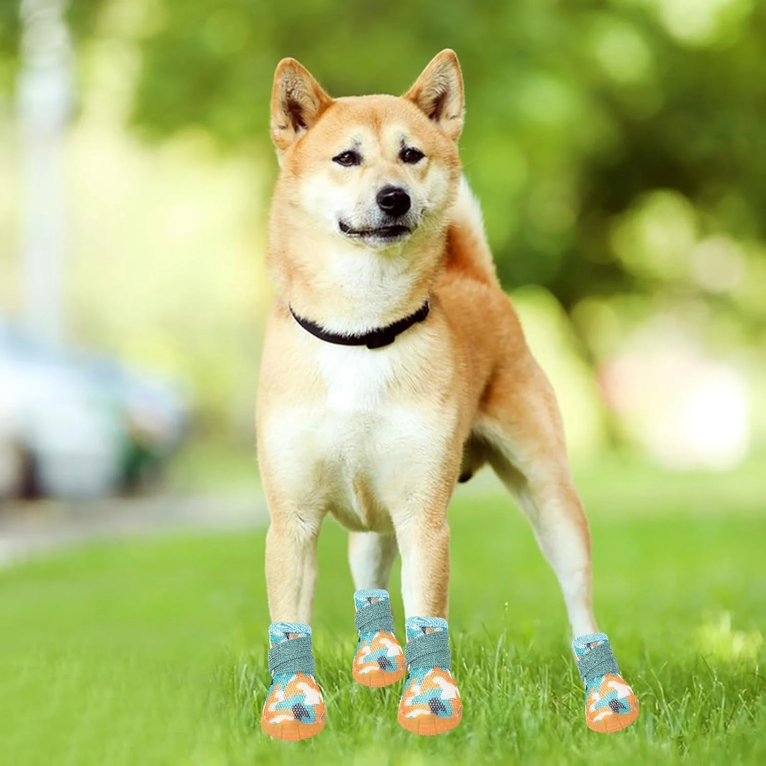 محافظ پنجه سگ NALACAL - کفش های ضد لغزش تنفسی 4 عددی برای پنجه های آسیب دیده - چکمه های پیاده روی برای سگ های کوچک و متوسط - محافظت راحت برای توله سگ خانگی محافظ پنجه سگ NALACAL - کفش های ضد لغزش تنفسی 4 عددی برای پنجه های آسیب دیده - چکمه های پیاده روی برای سگ های کوچک و متوسط - محافظت راحت برای توله سگ خانگی