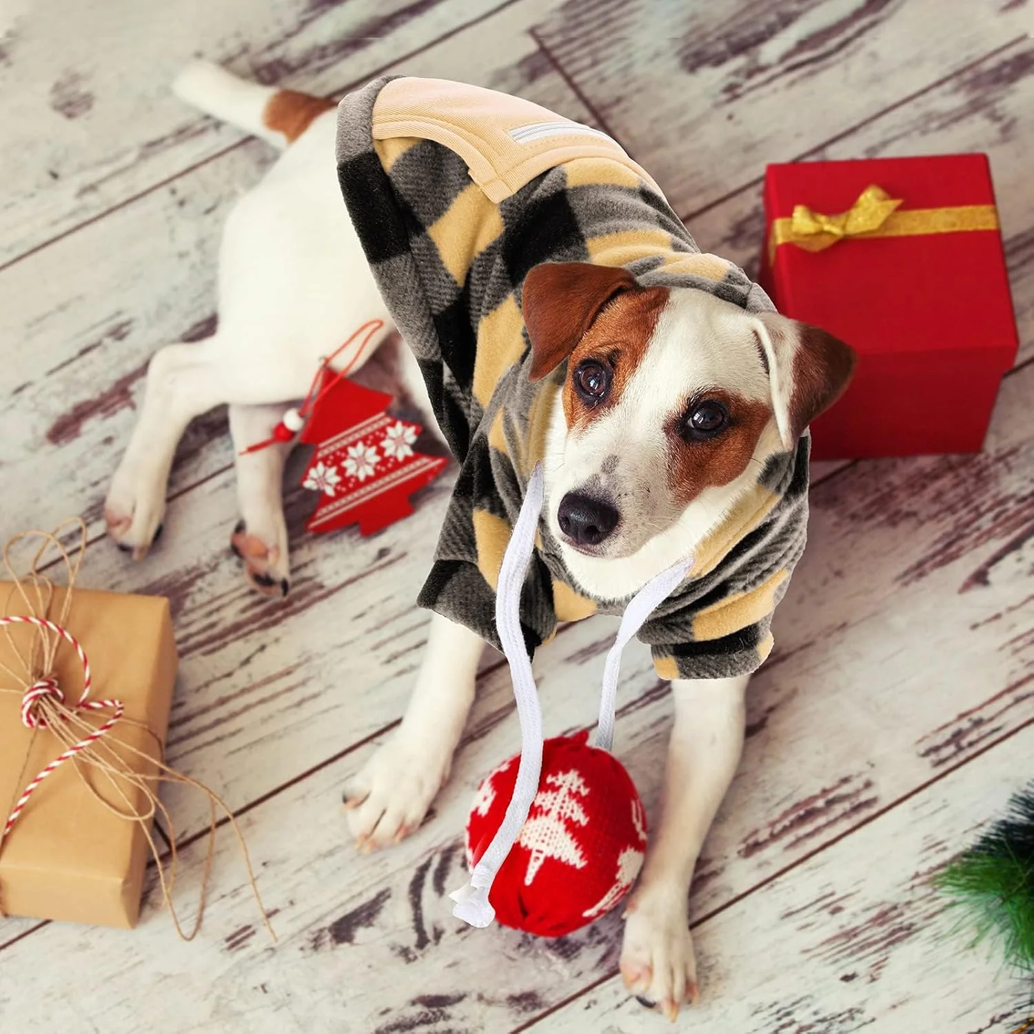 NALACAL 2 عدد هودی سگ چهارخانه، بلوزهای کلاه دار بوفالو، کت های هوای سرد سگ، لباس حیوانات خانگی با جیب برای سگ های کوچک و متوسط (سیاه سفید، بژ مشکی، متوسط) NALACAL 2 عدد هودی سگ چهارخانه، بلوزهای کلاه دار بوفالو، کت های هوای سرد سگ، لباس حیوانات خانگی با جیب برای سگ های کوچک و متوسط (سیاه سفید، بژ مشکی، متوسط)