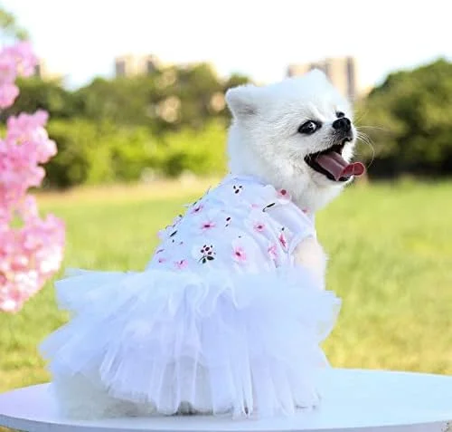 لباس سگ توله سگ شیرین Nvzi-b، دامن سگ لباس گربه پرنسس زیبا برای سگ های دخترانه کوچک (سفید، M) لباس سگ توله سگ شیرین Nvzi-b، دامن سگ لباس گربه پرنسس زیبا برای سگ های دخترانه کوچک (سفید، M)