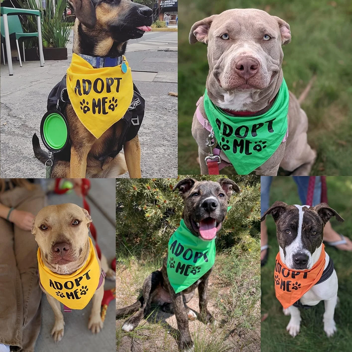 پاووسکیدو، بسته 3 عددی دستمال گردن سگ طرح "Adopt Me"