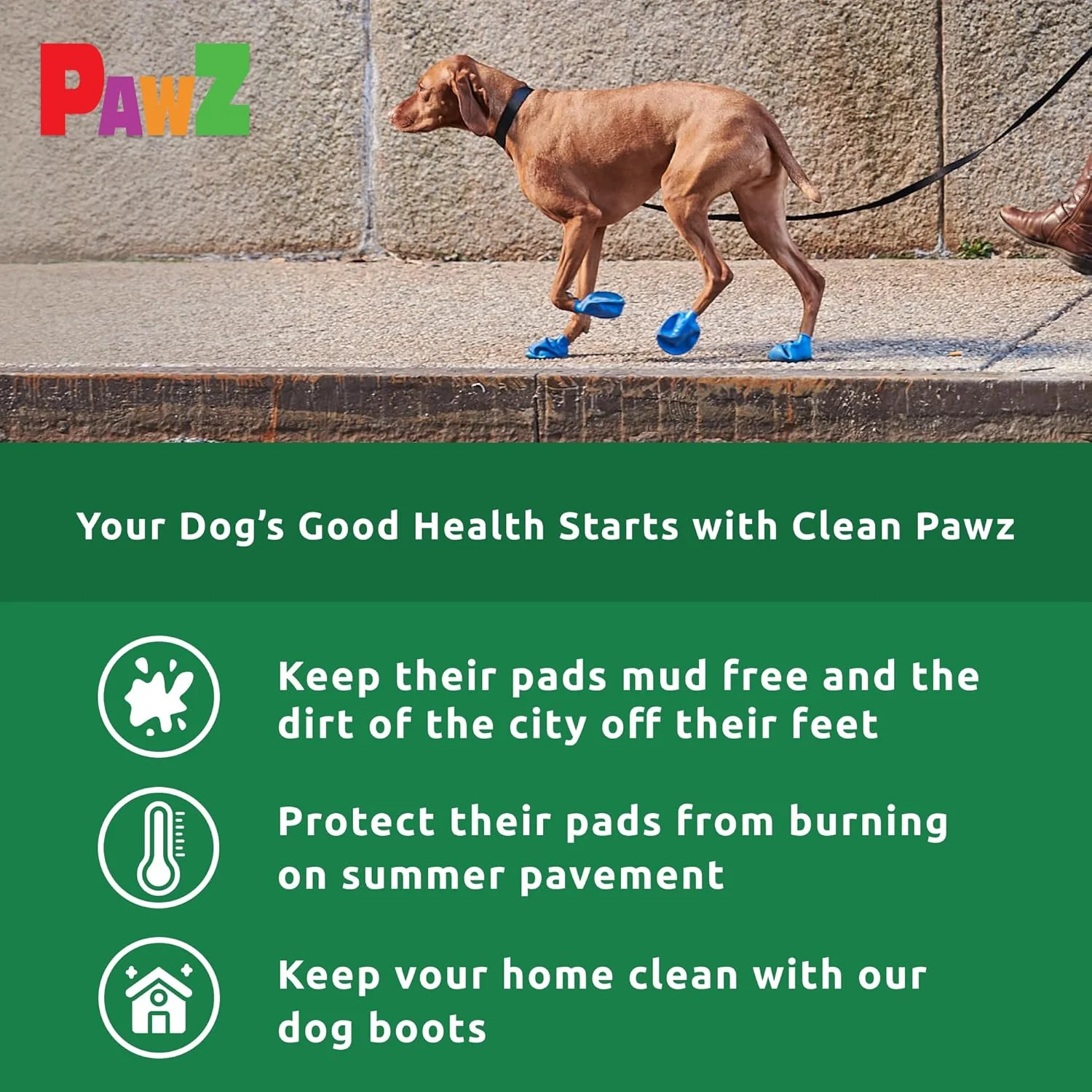 پاپوش سگ لاستیکی طبیعی Pawz - خیلی کوچک پاپوش سگ لاستیکی طبیعی Pawz - خیلی کوچک