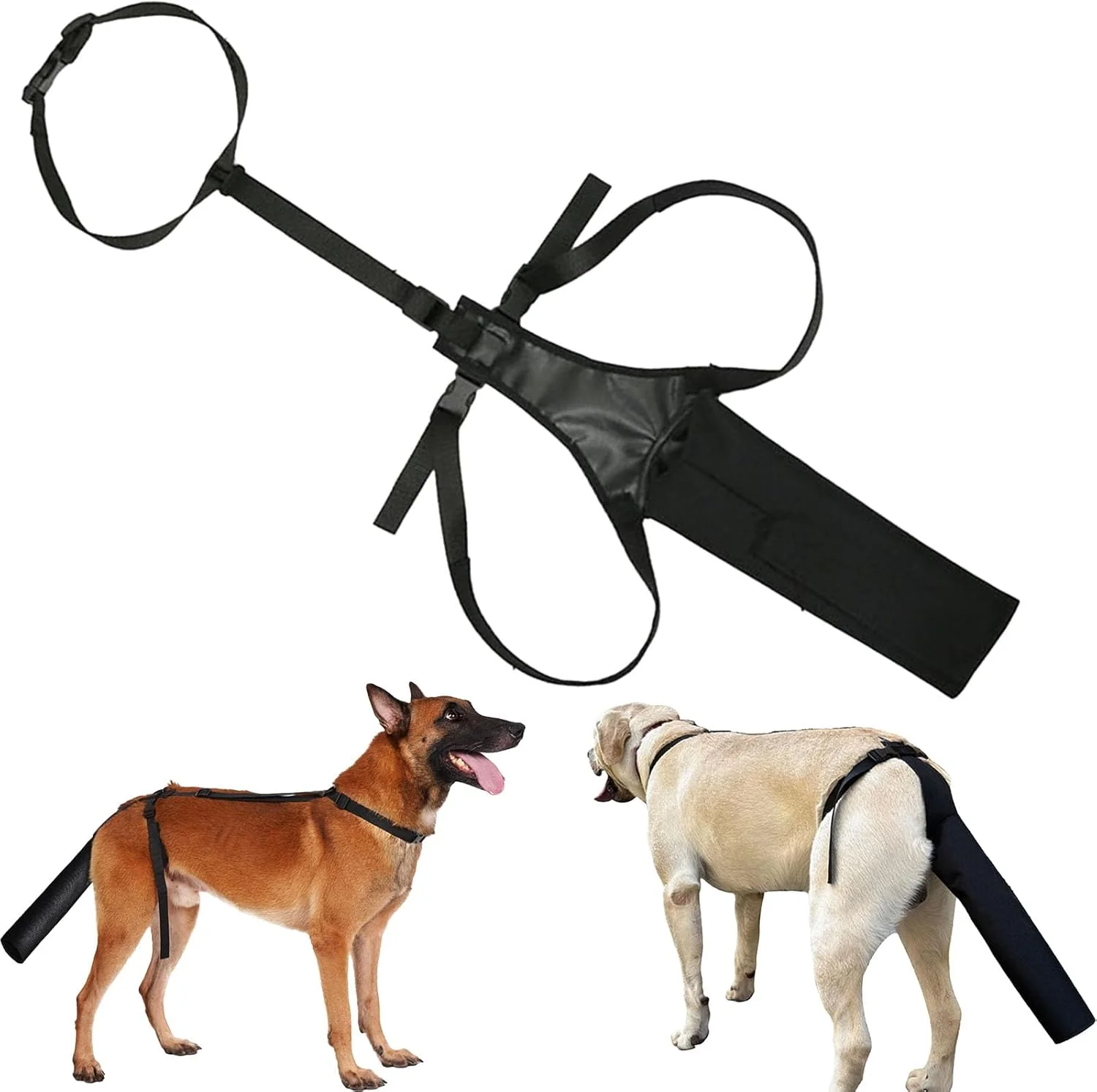 محافظ دم سگ، محافظ انتهای دم سگ، آستین محافظ مشکی، طراحی راحت و بادوام، آستین محافظ انتهای دم برای جلوگیری از لیسیدن برای بهبود، مناسب برای سگ های سایز بزرگ محافظ دم سگ، محافظ انتهای دم سگ، آستین محافظ مشکی، طراحی راحت و بادوام، آستین محافظ انتهای دم برای جلوگیری از لیسیدن برای بهبود، مناسب برای سگ های سایز بزرگ